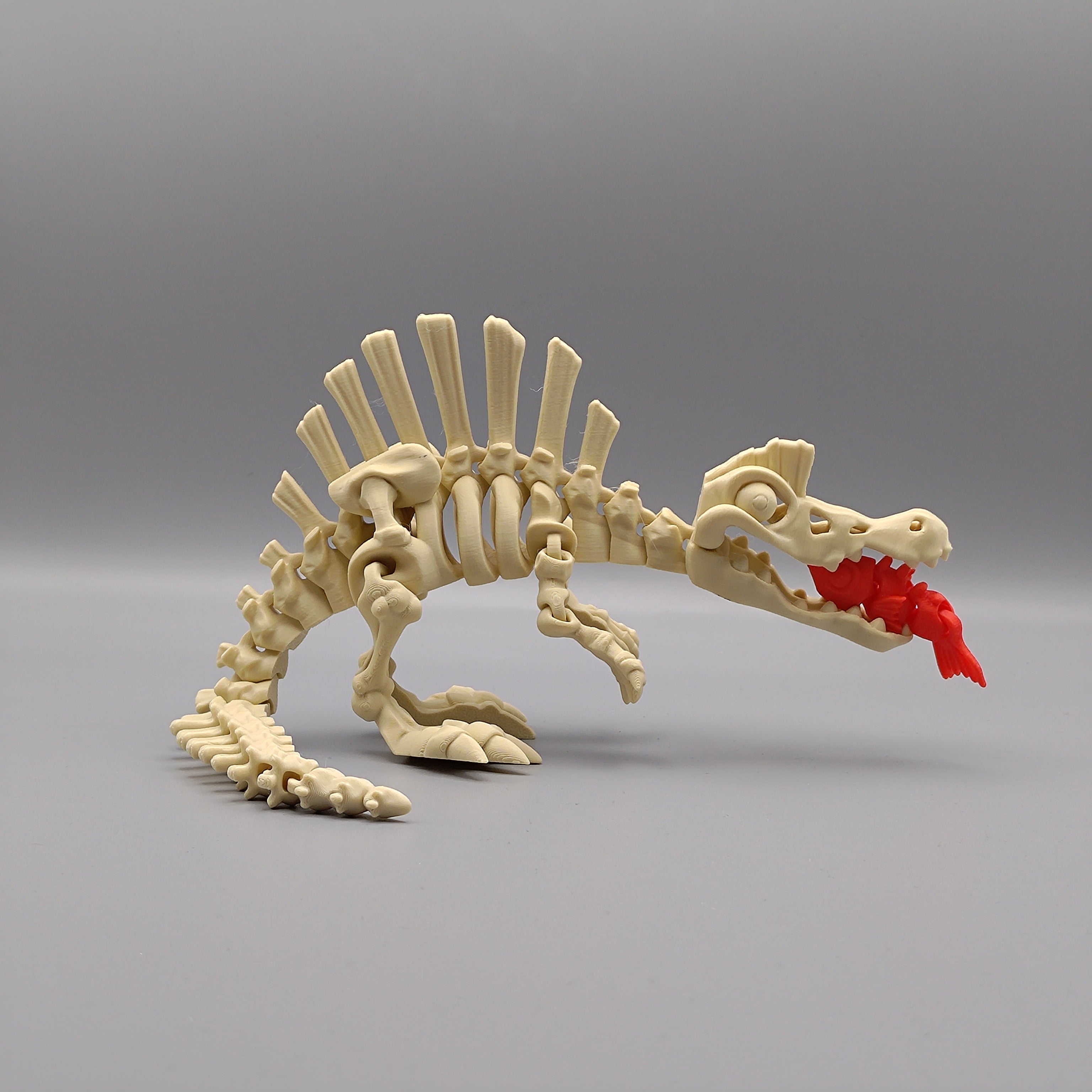 Articulated Dinosaur Spinosaurus Skeleton - Fillywinkel
