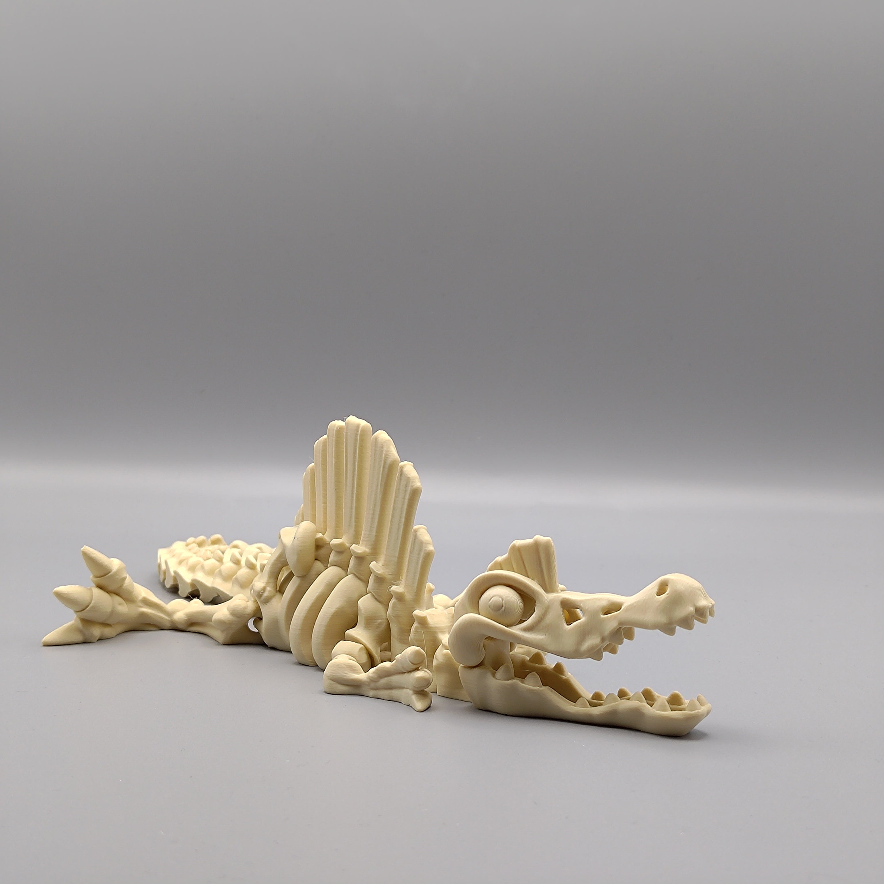 Articulated Dinosaur Spinosaurus Skeleton - Fillywinkel