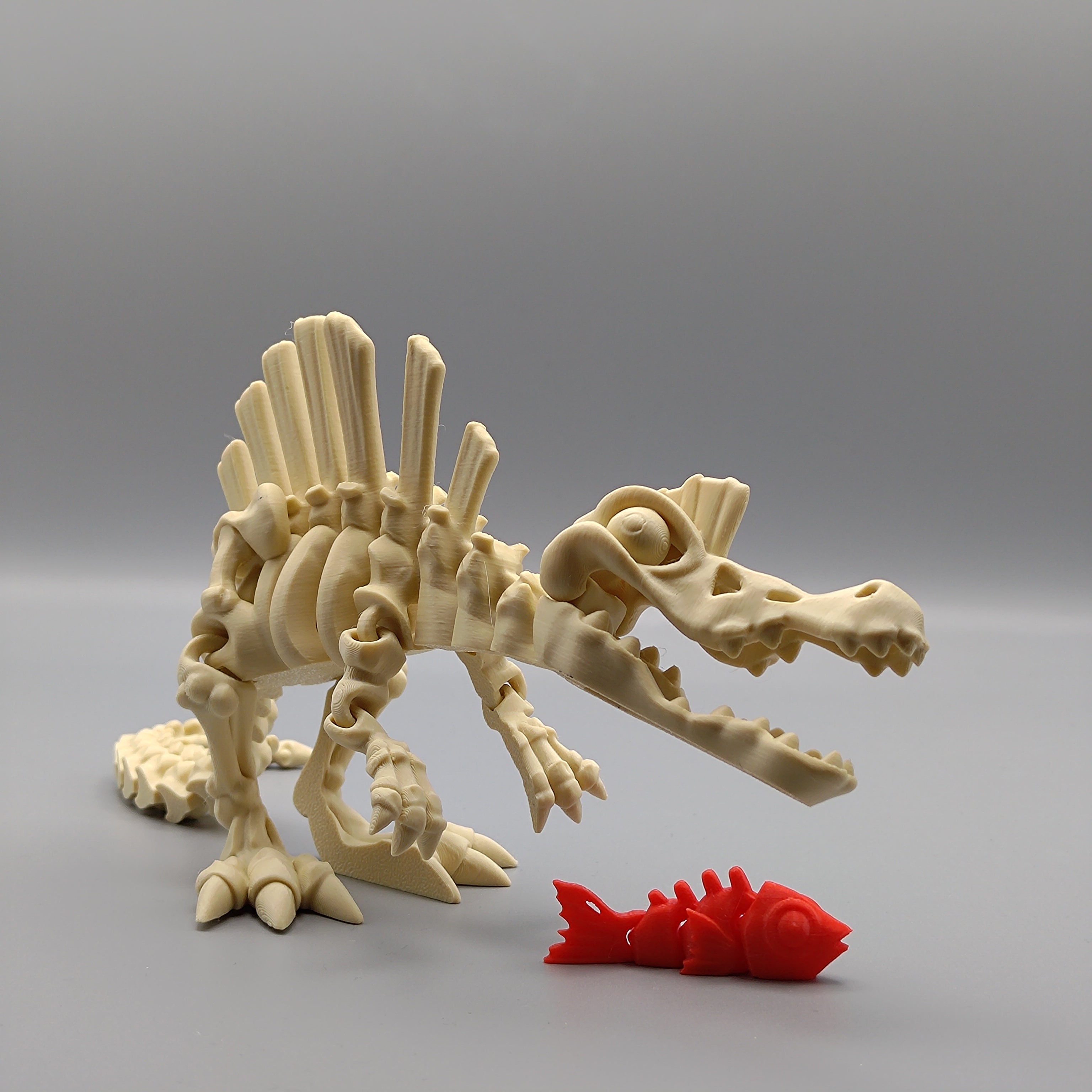 Articulated Dinosaur Spinosaurus Skeleton - Fillywinkel