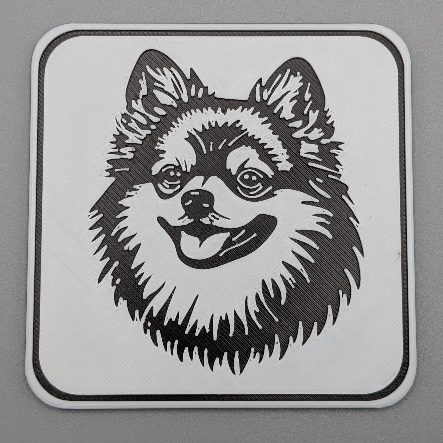 PomeranianCoaster