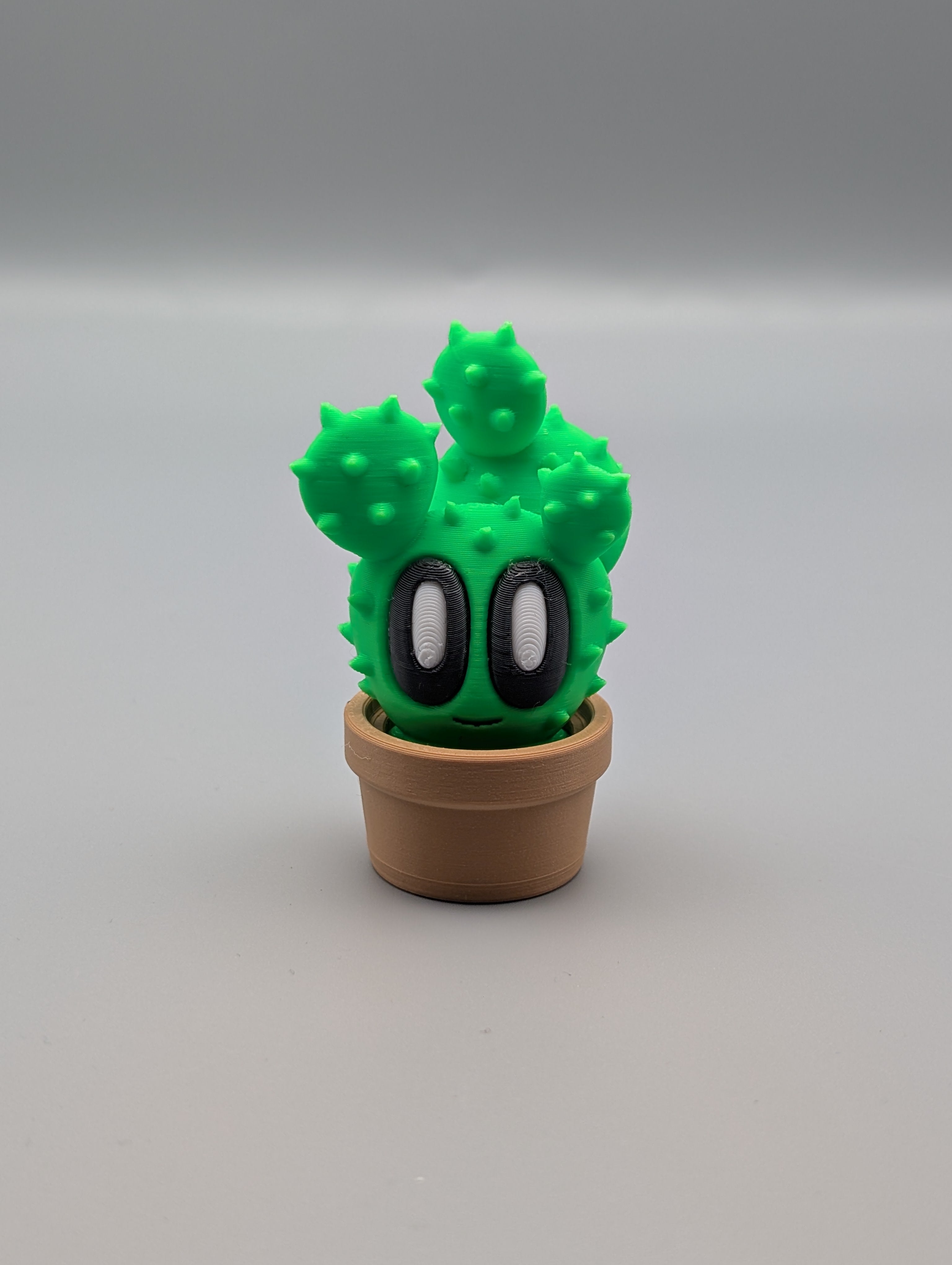 Prickly Pear - Fillywinkel