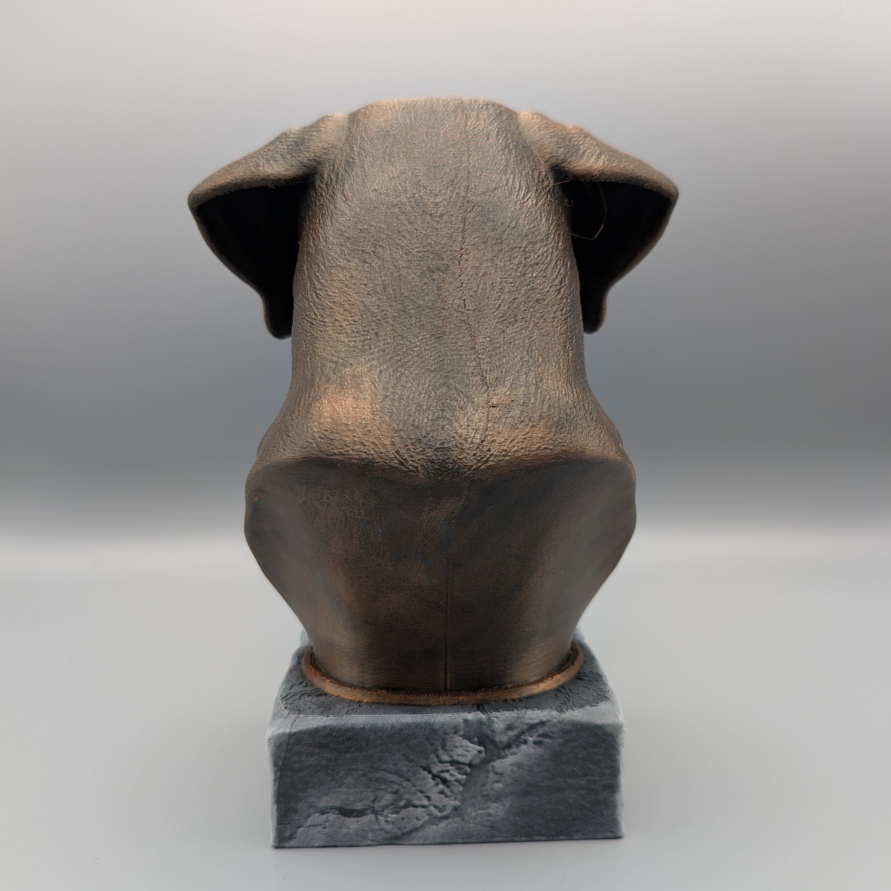 RhodesianRidgeback-Back-Fillywinkel