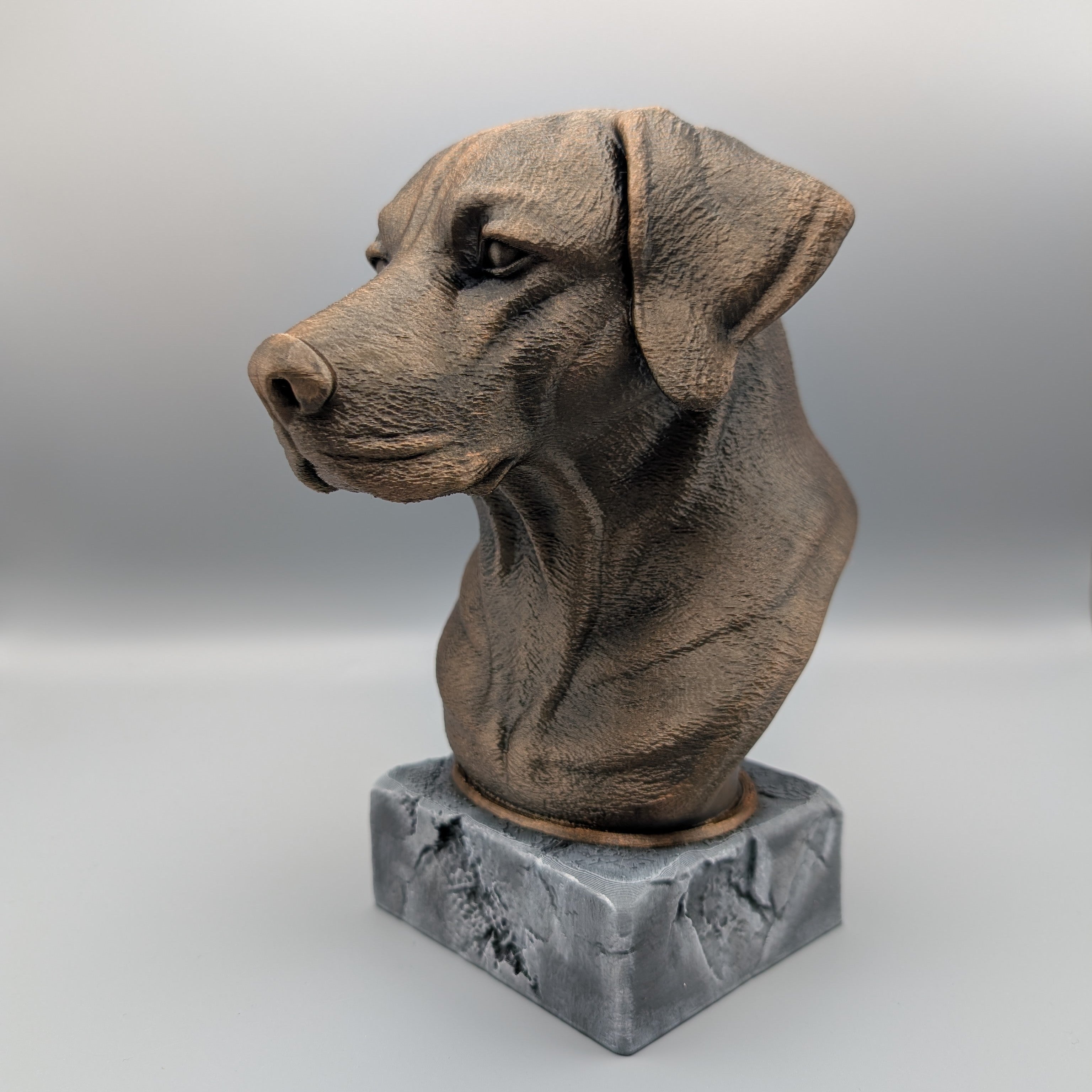 RhodesianRidgeback-Fillywinkel