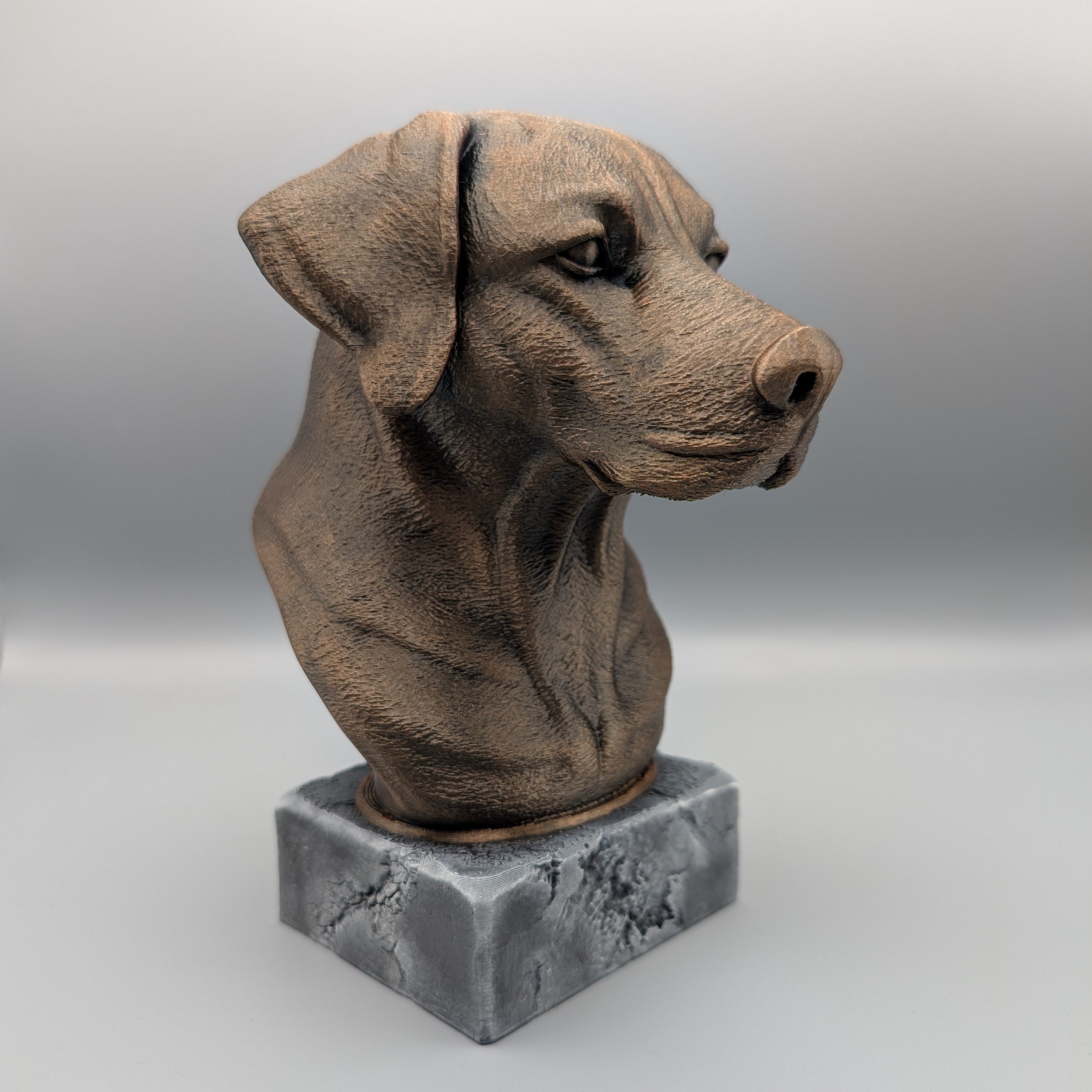 RhodesianRidgeback-SideR-Fillywinkel