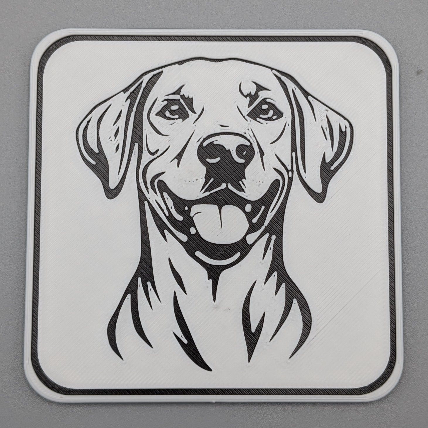 RhodesianRidgebackCoaster