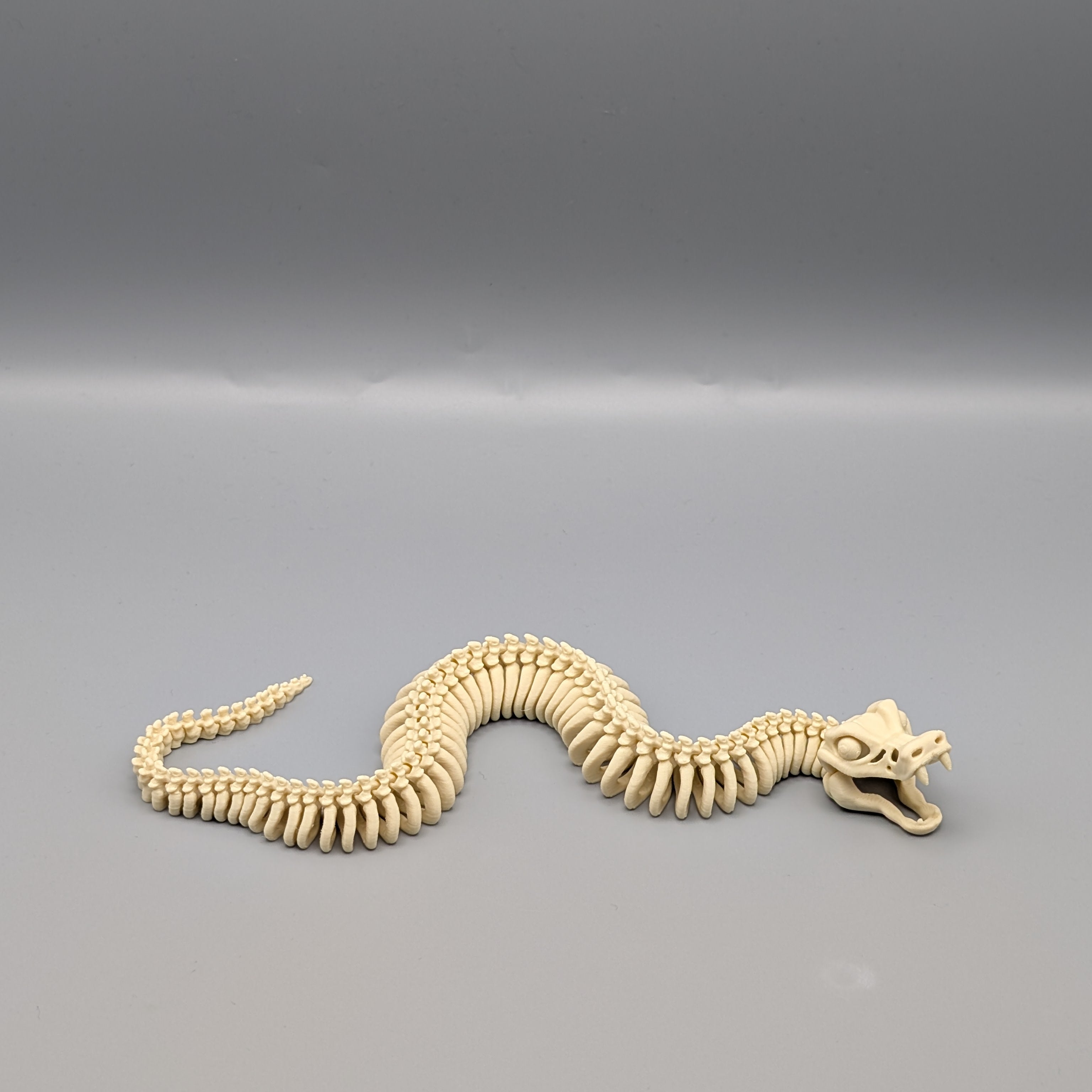 Skeleton Snake2 - Fillywinkel