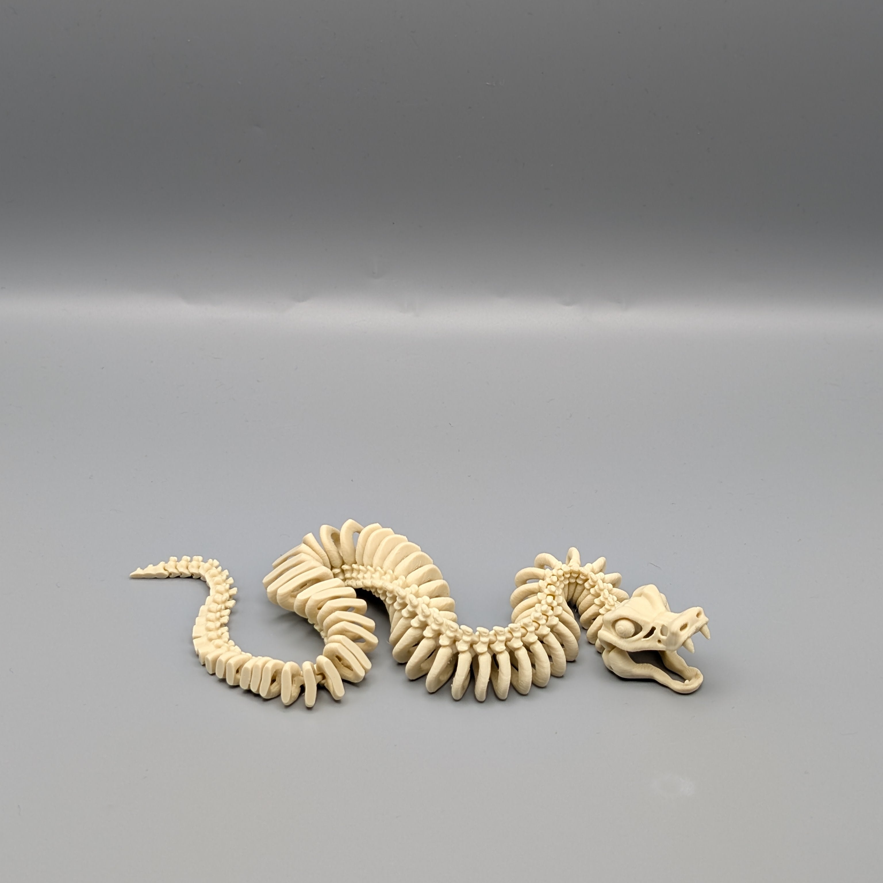 Skeleton Snake3 - Fillywinkel