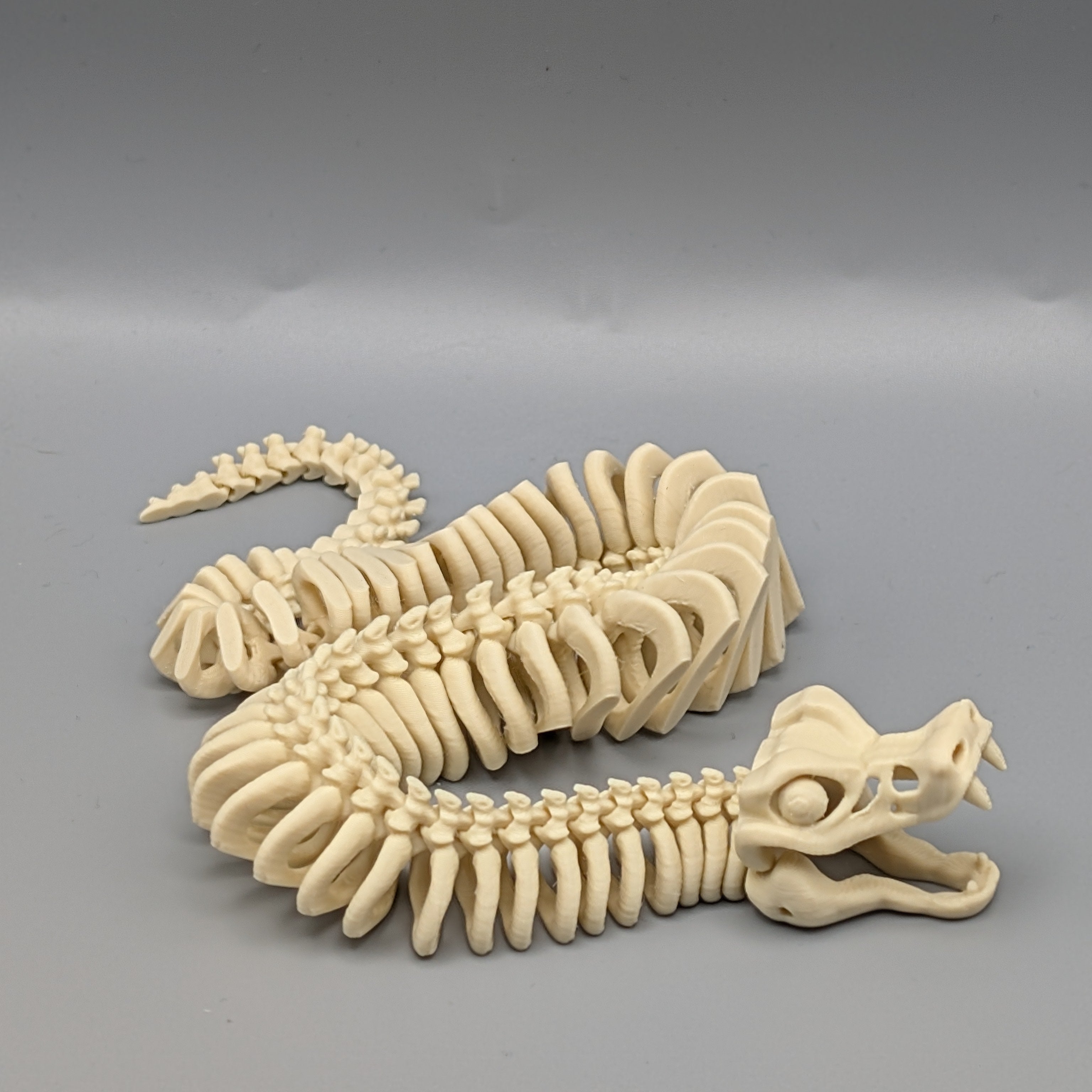 Skeleton Snake - Fillywinkel