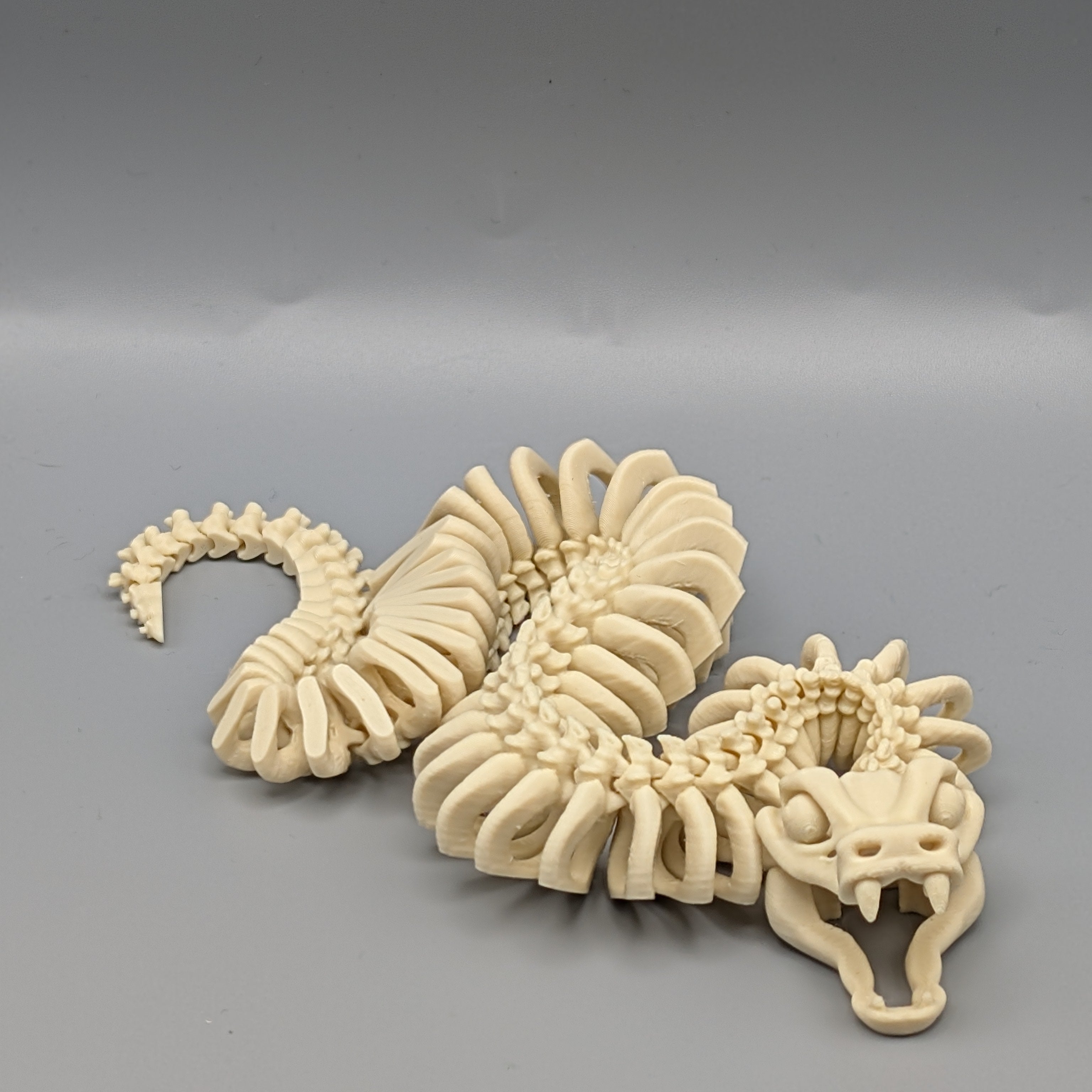 Skeleton Snake Front - Fillywinkel