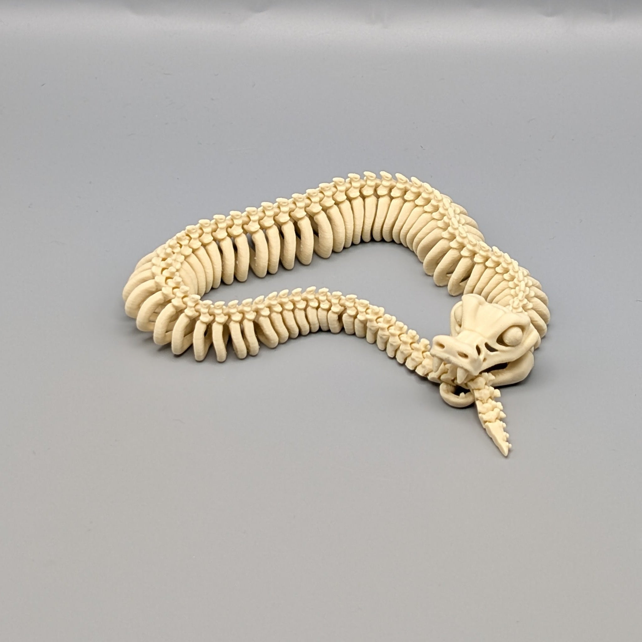 Skeleton Snake Tail Bite- Fillywinkel