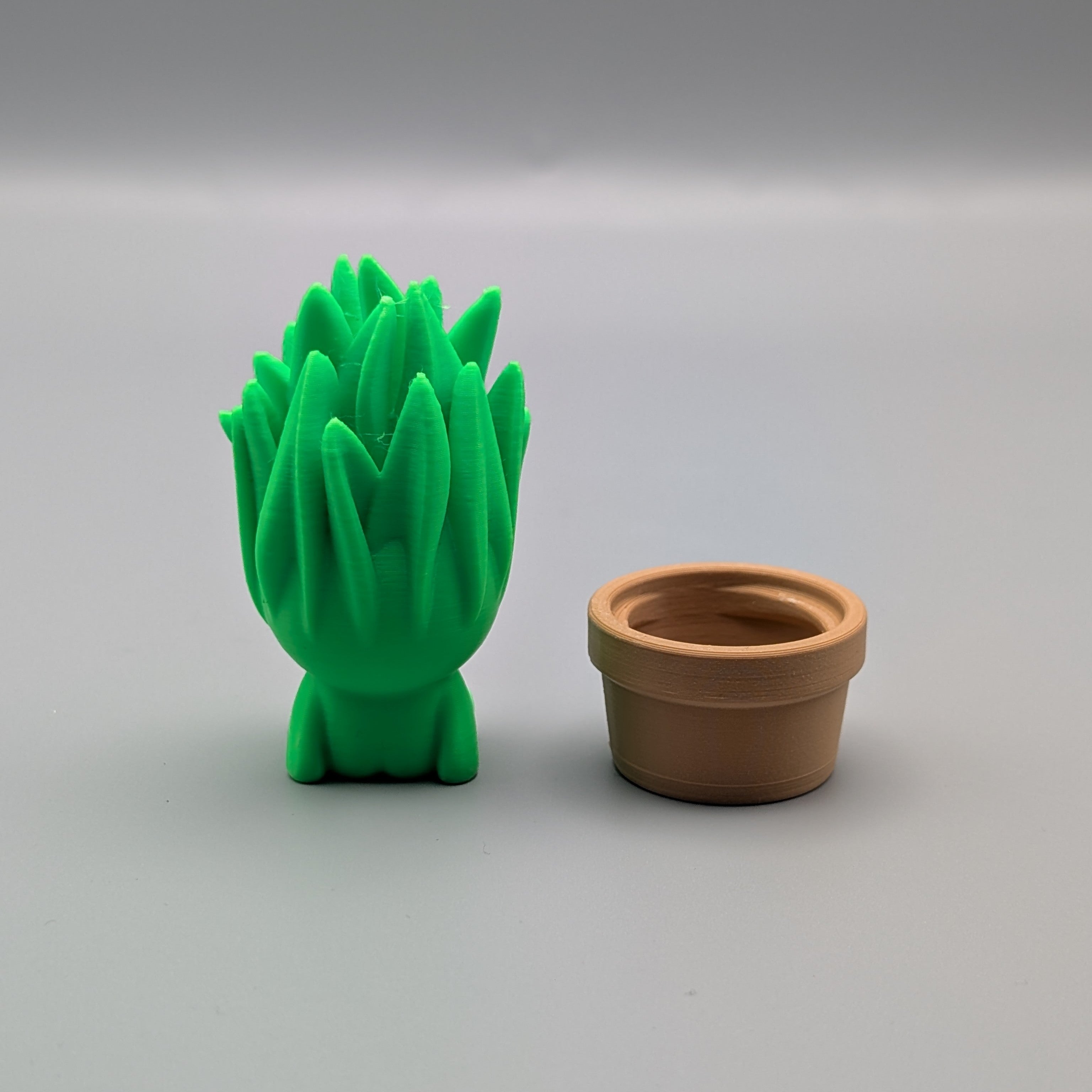 Snake Back - Fillywinkel