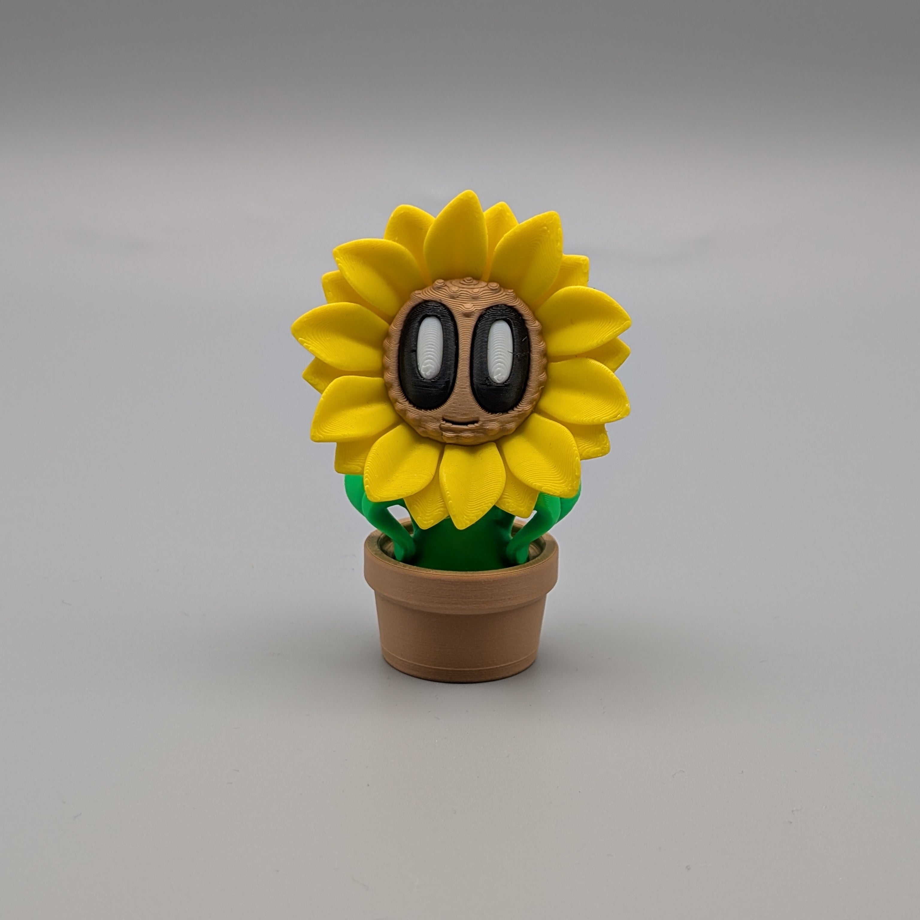 Sunflower - Fillywinkel