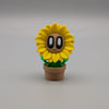 Sunflower - Fillywinkel