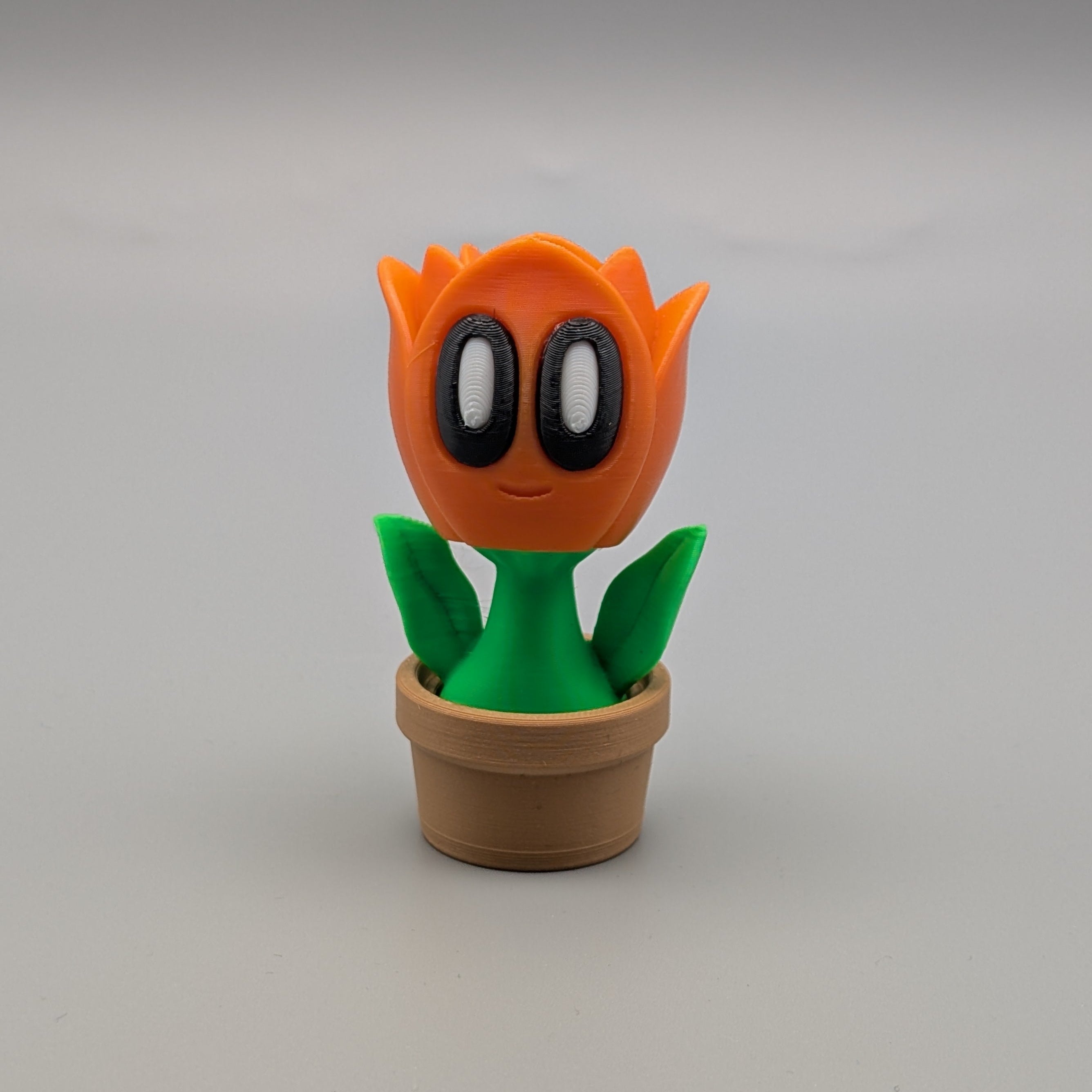 Tulip - Fillywinkel