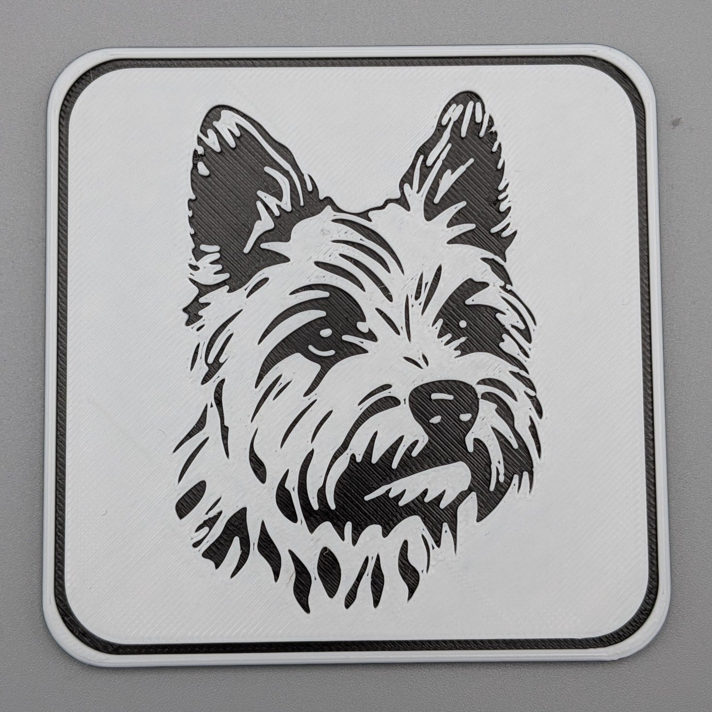 YorkshireTerrierCoaster