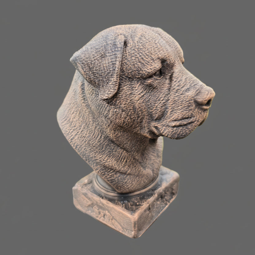 3D printed Alabai Bust