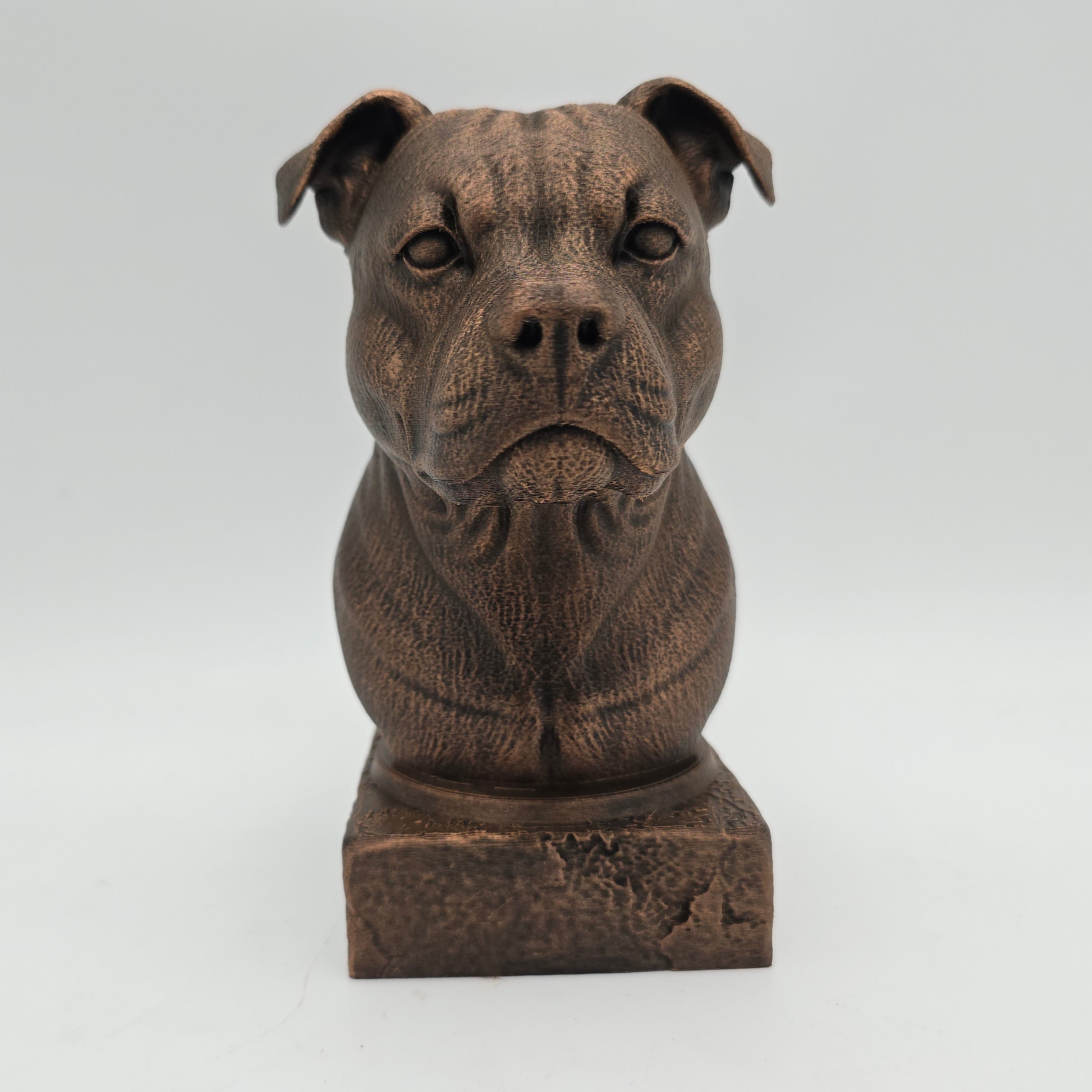 American Staffordshire Terrier bust sculpture front view