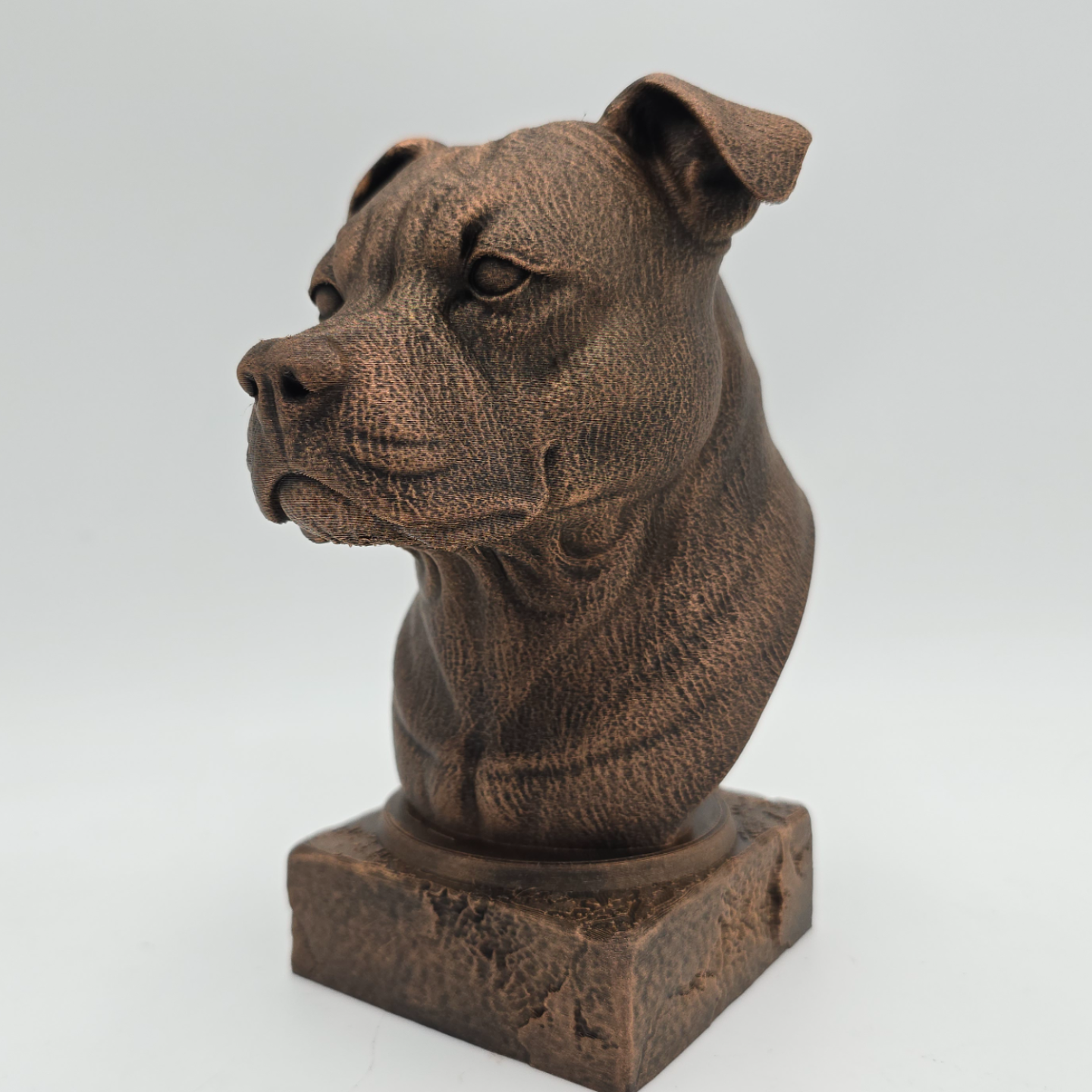 American Staffordshire Terrier bust sculpture angled view