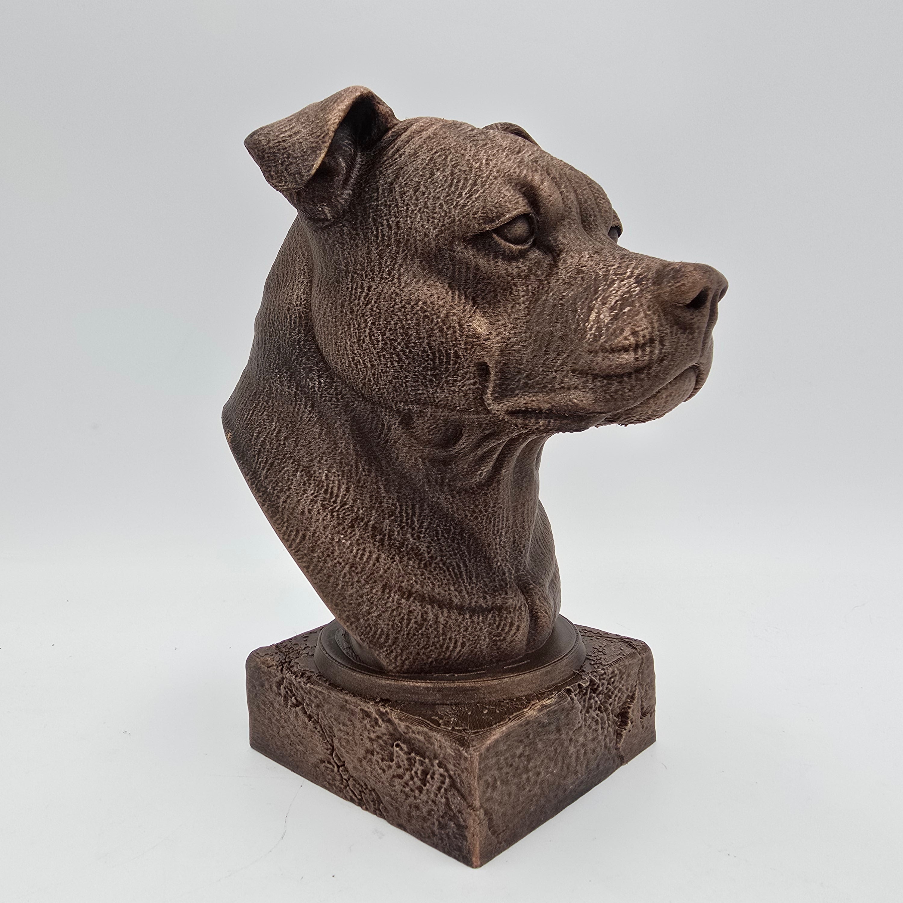 American Staffordshire Terrier dog bust side angle detail