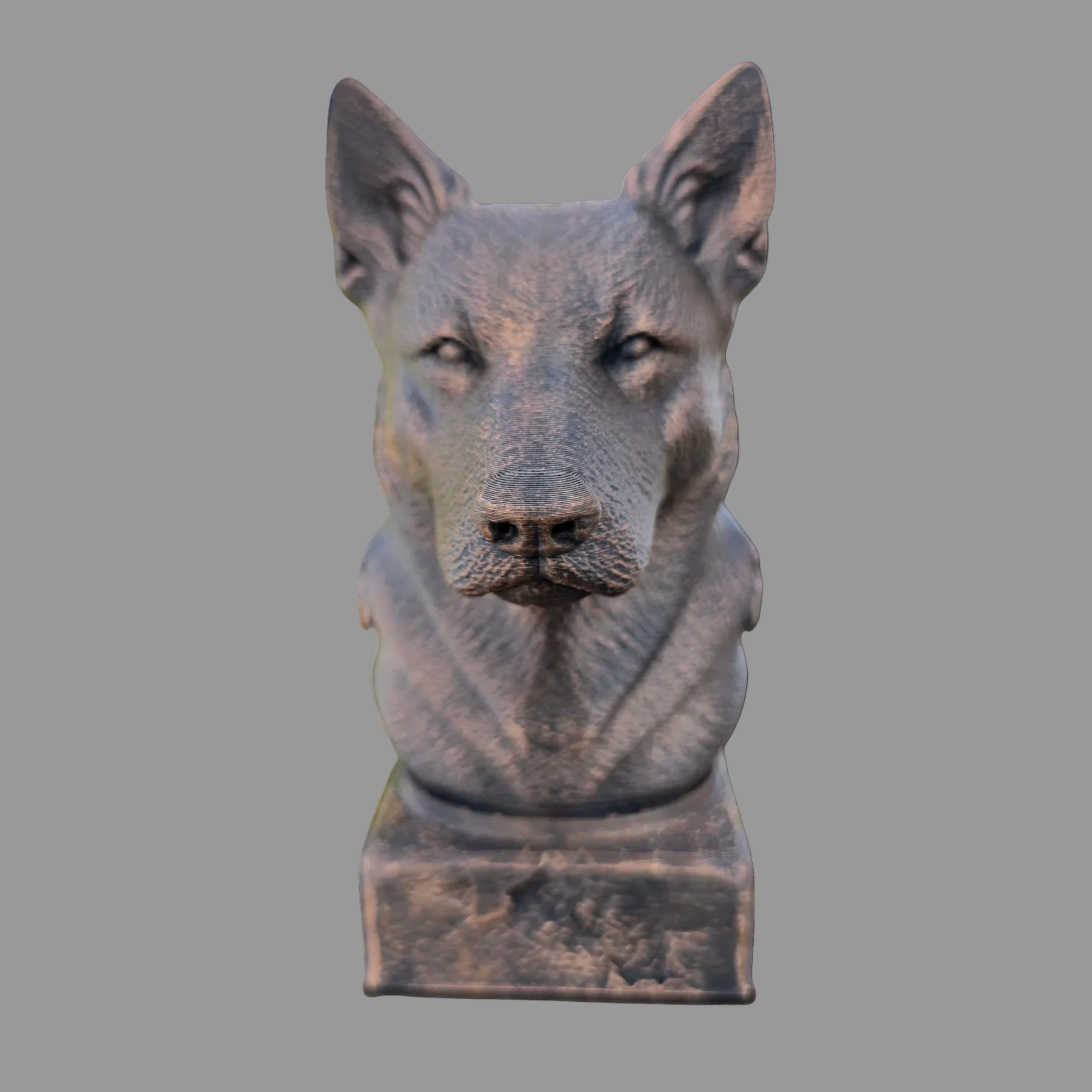 australian cattledog dog bust front view bronze style sculpture