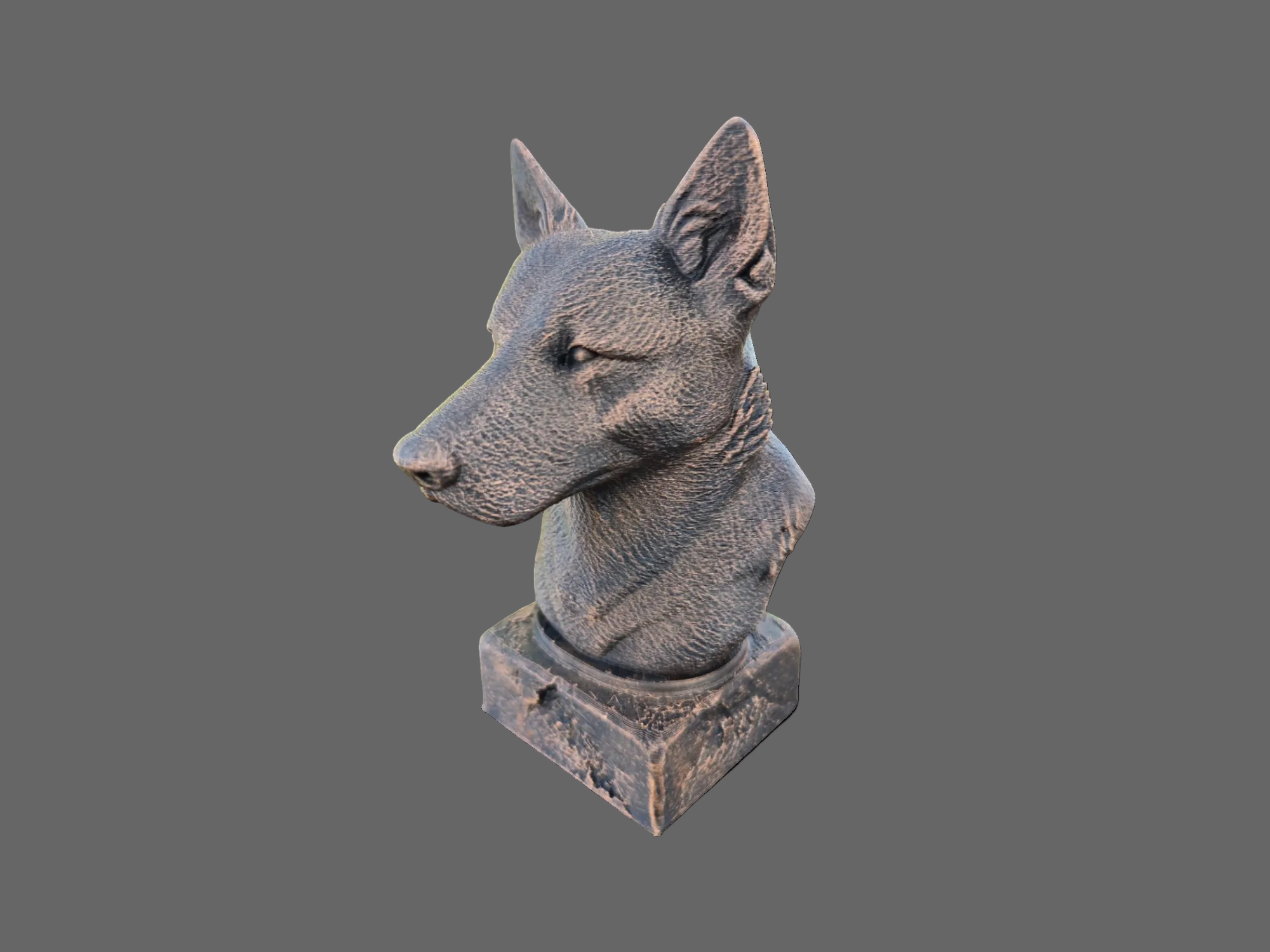 australian cattledog dog bust side view bronze finish