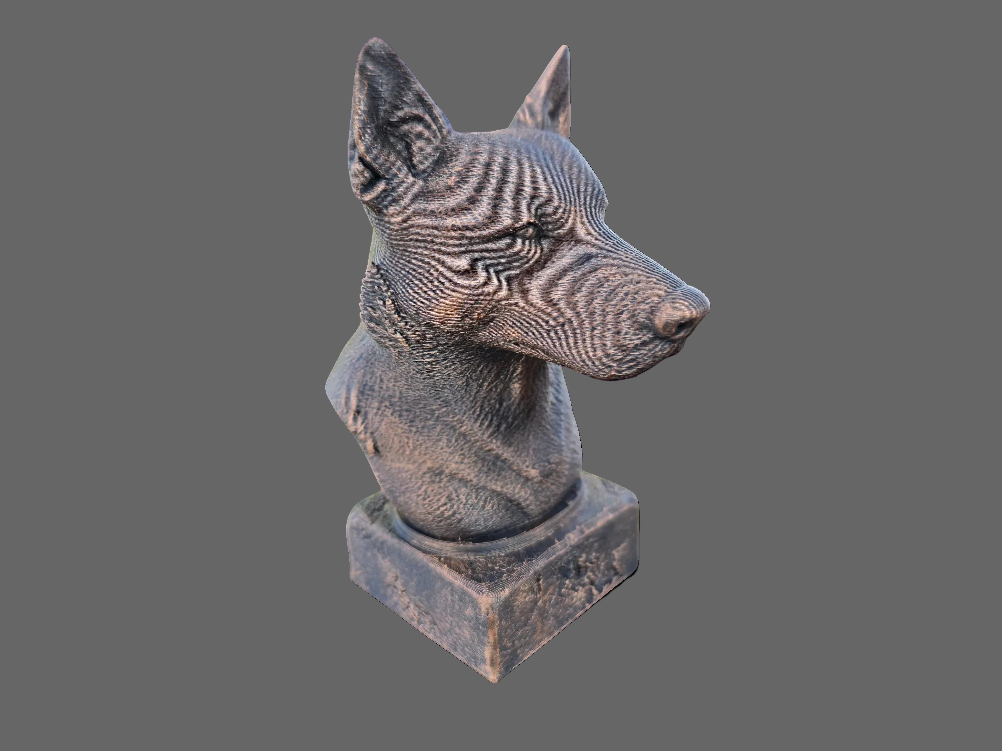 australian cattledog dog bust angled side view sculpture