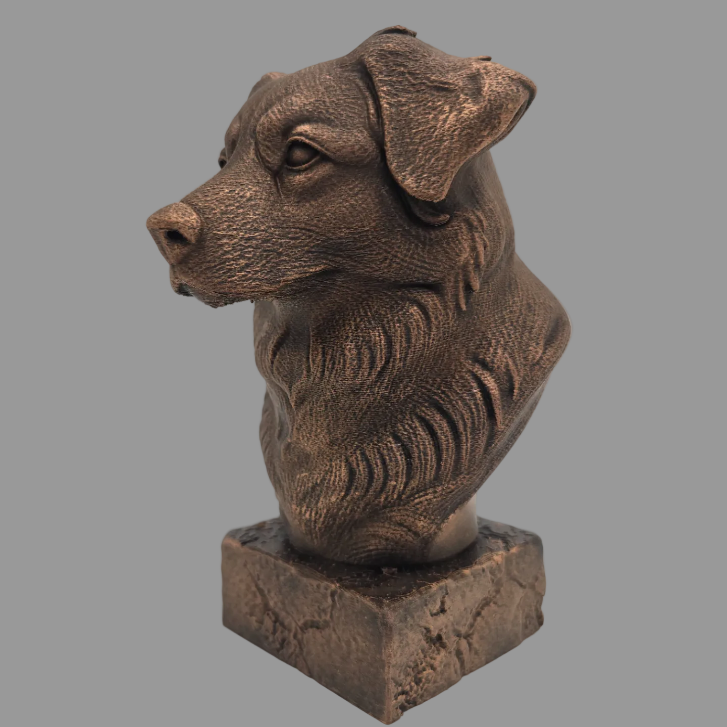 Australian Shepherd dog bust sculpture angled view detailed fur texture