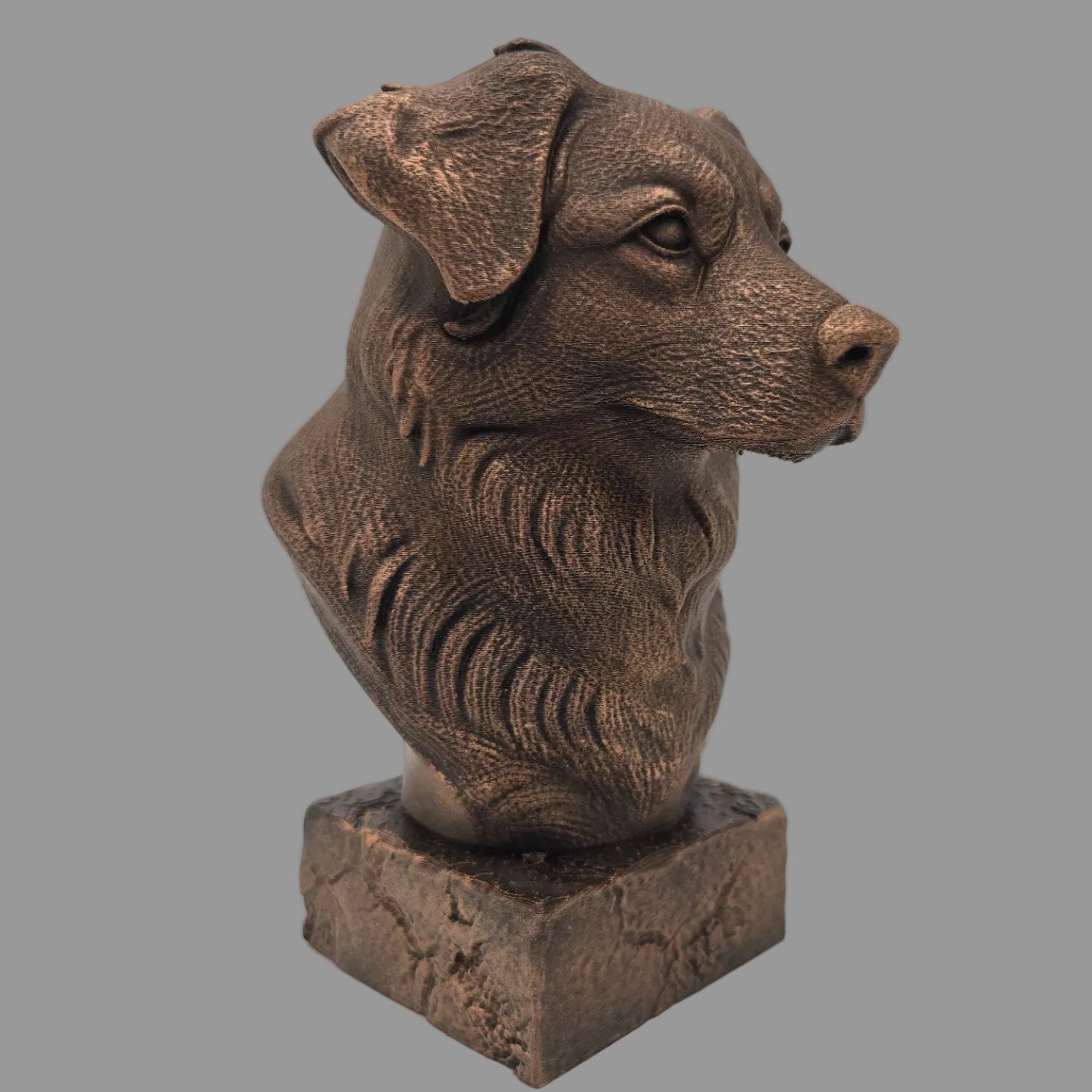 Australian Shepherd bust sculpture side view realistic dog figurine