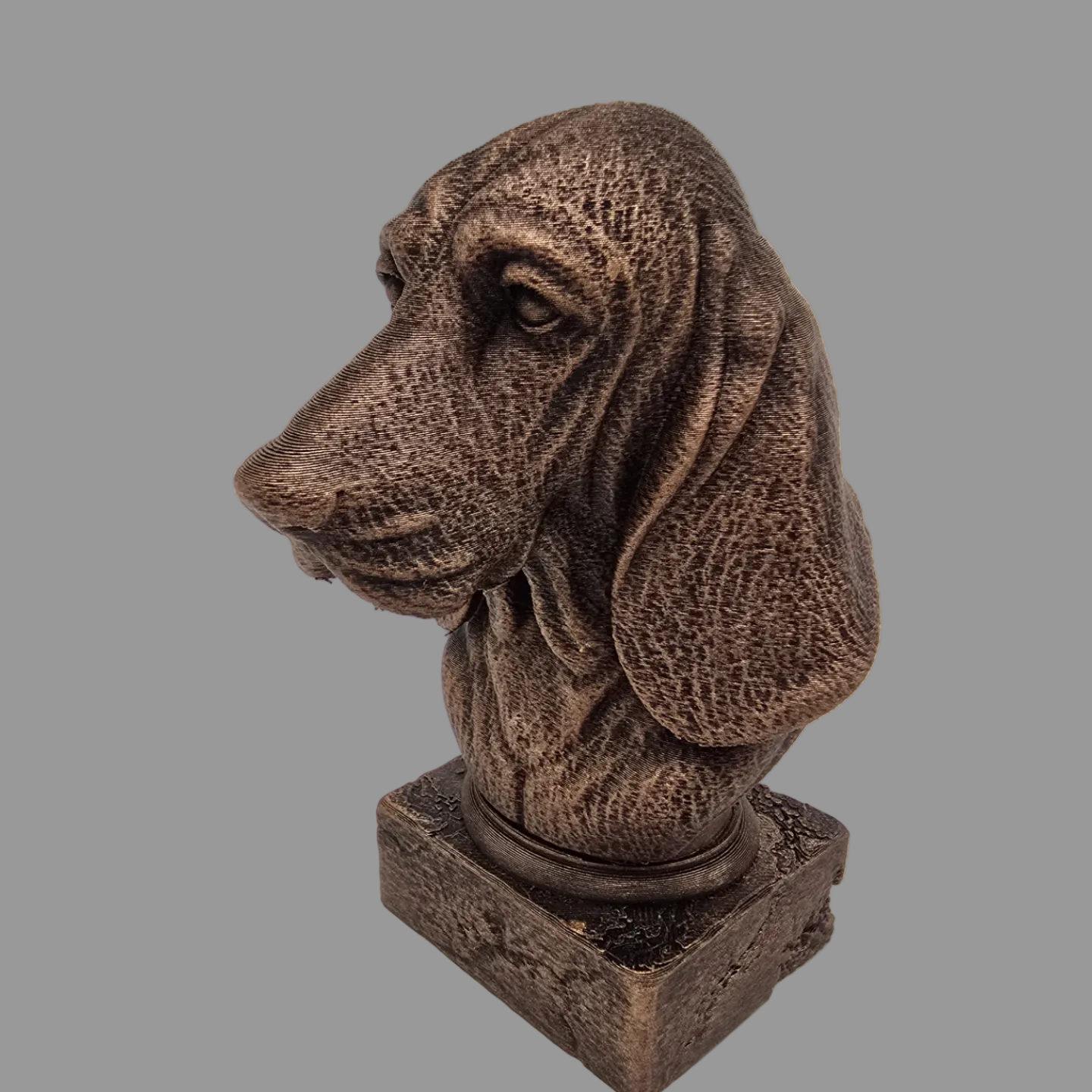 basset hound dog bust side view bronze finish