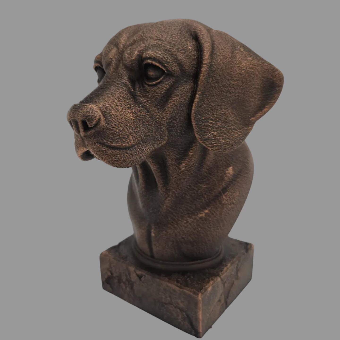 beagle dog bust side view bronze finish