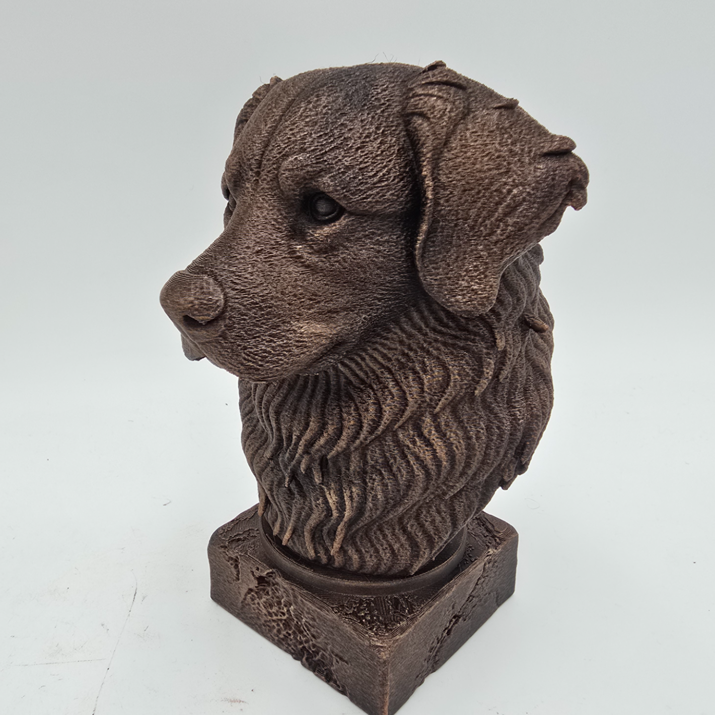 Bronze Bernese Mountain Dog bust sculpture viewed from the front left, featuring detailed fur texture on a decorative pedestal.
