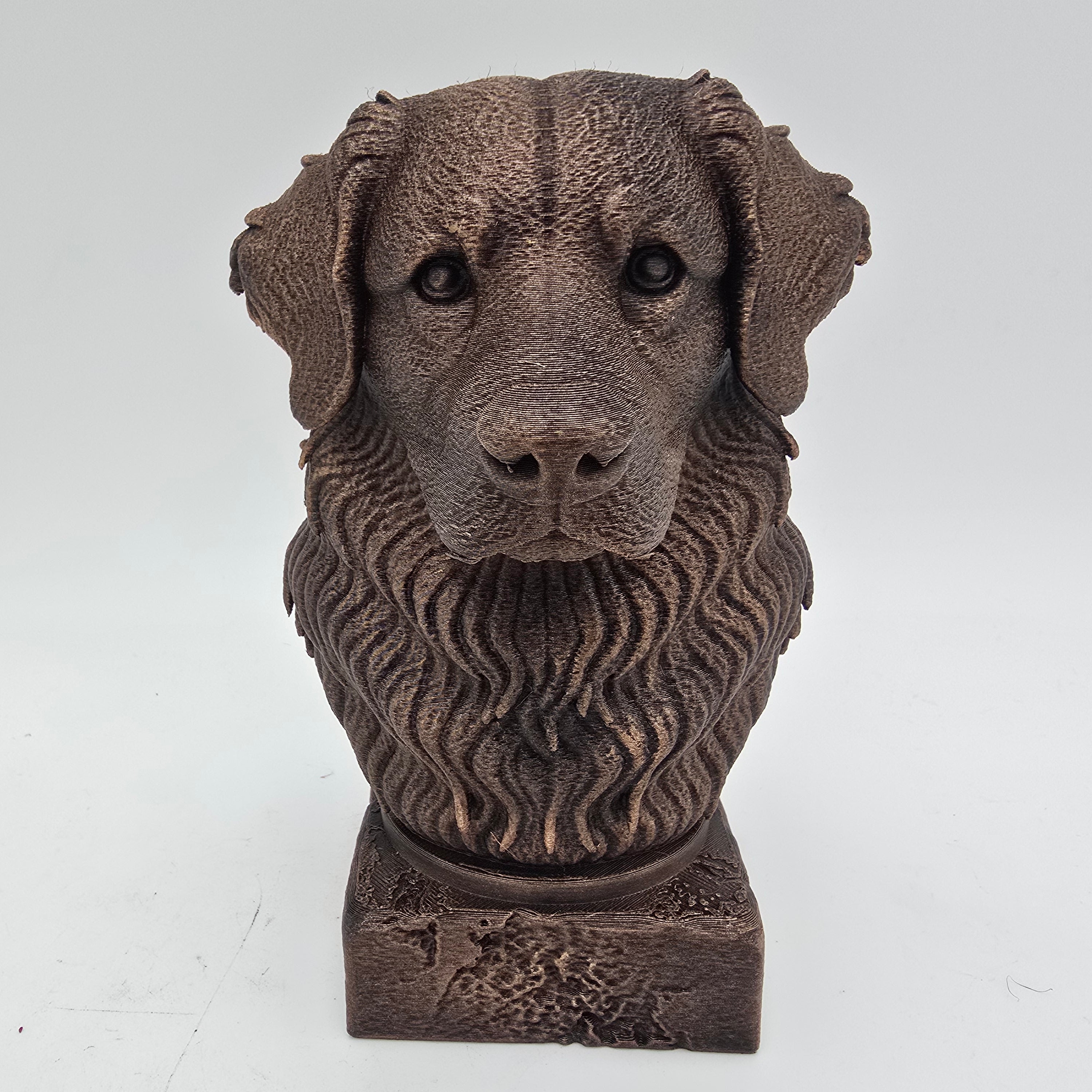 Front view of a bronze Bernese Mountain Dog bust sculpture with detailed fur texture on a decorative pedestal.