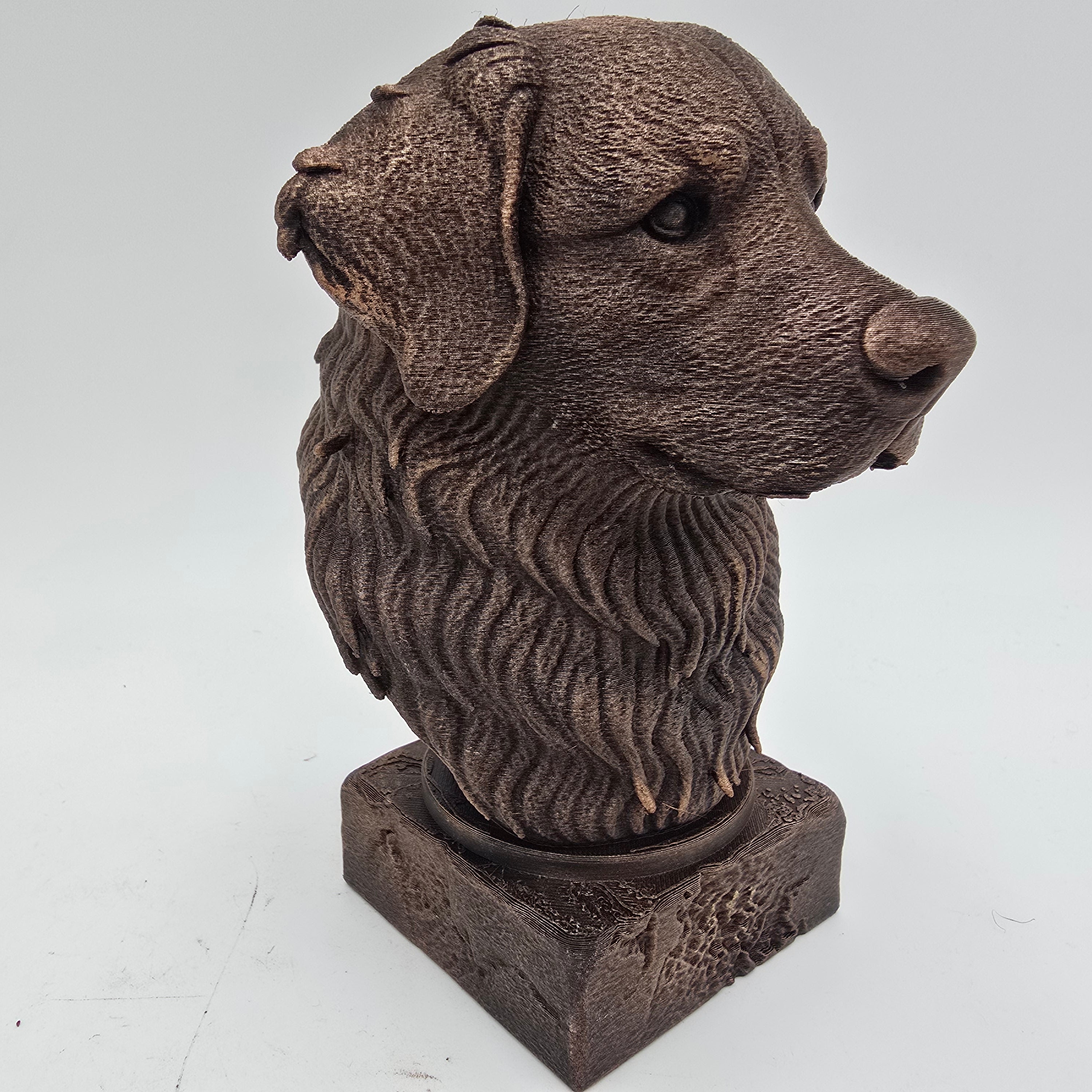 Bronze Bernese Mountain Dog bust sculpture viewed from the front right, featuring detailed long fur on a decorative pedestal.