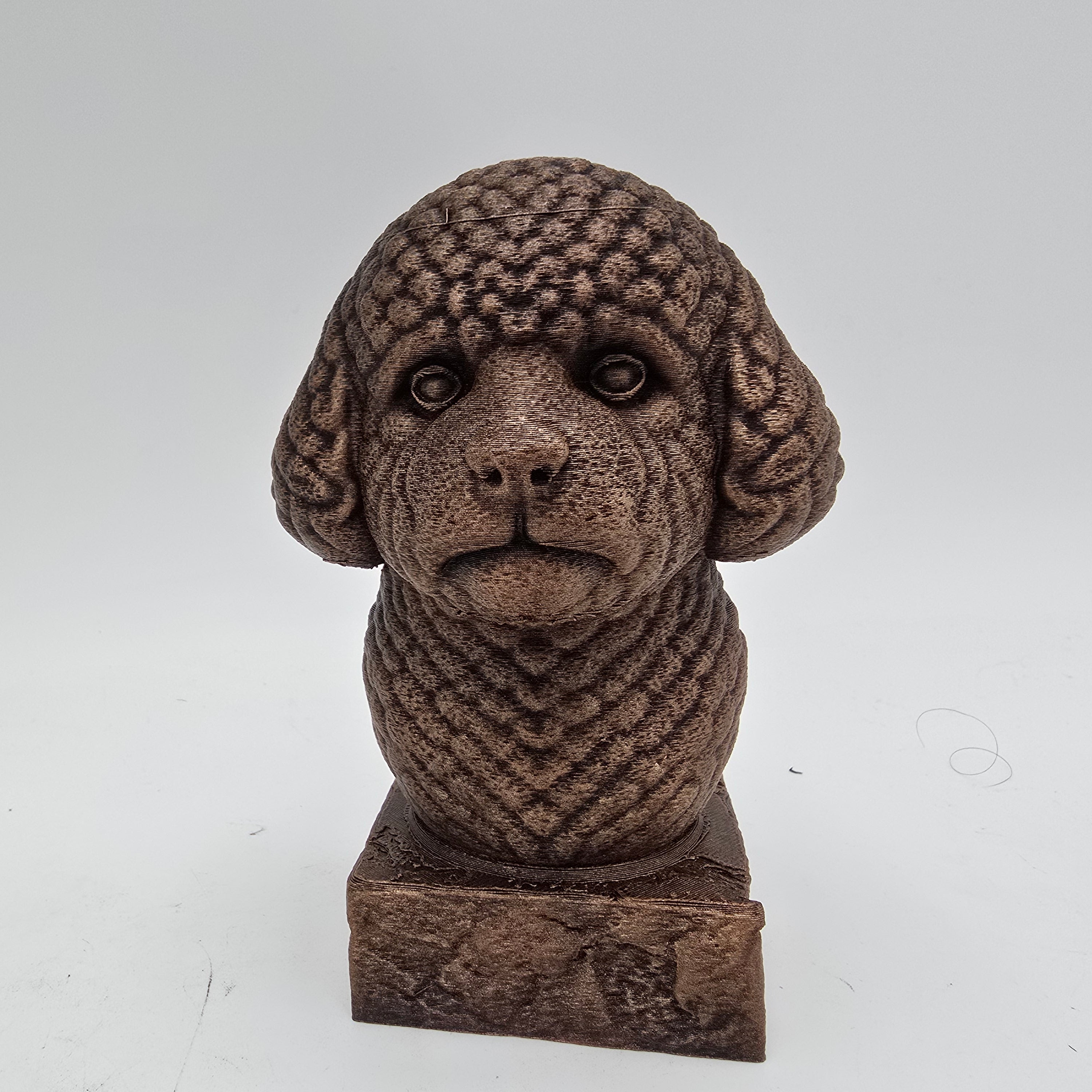 Front view of a bronze Bichon Frise dog bust sculpture with detailed curly fur on a decorative pedestal.