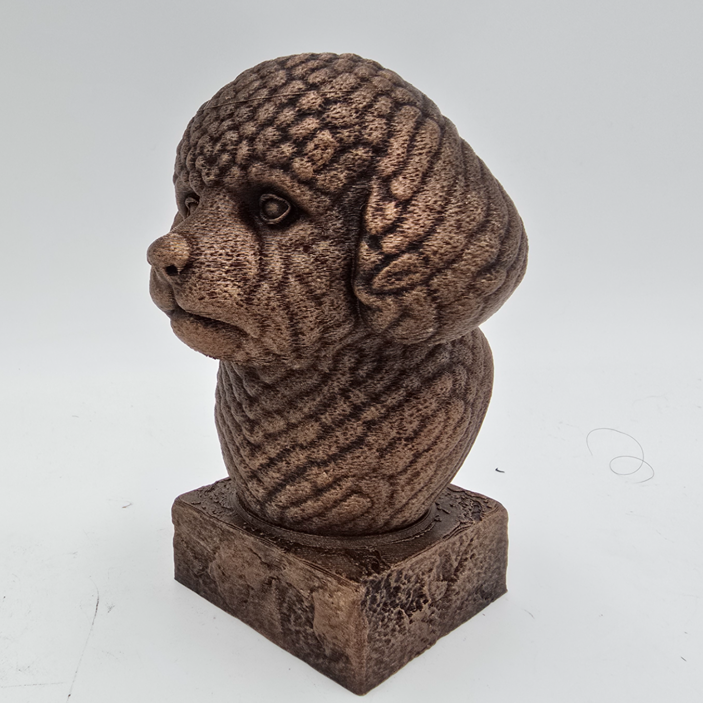 Bronze Bichon Frise dog bust sculpture viewed from the front left, featuring detailed curly fur on a decorative pedestal.