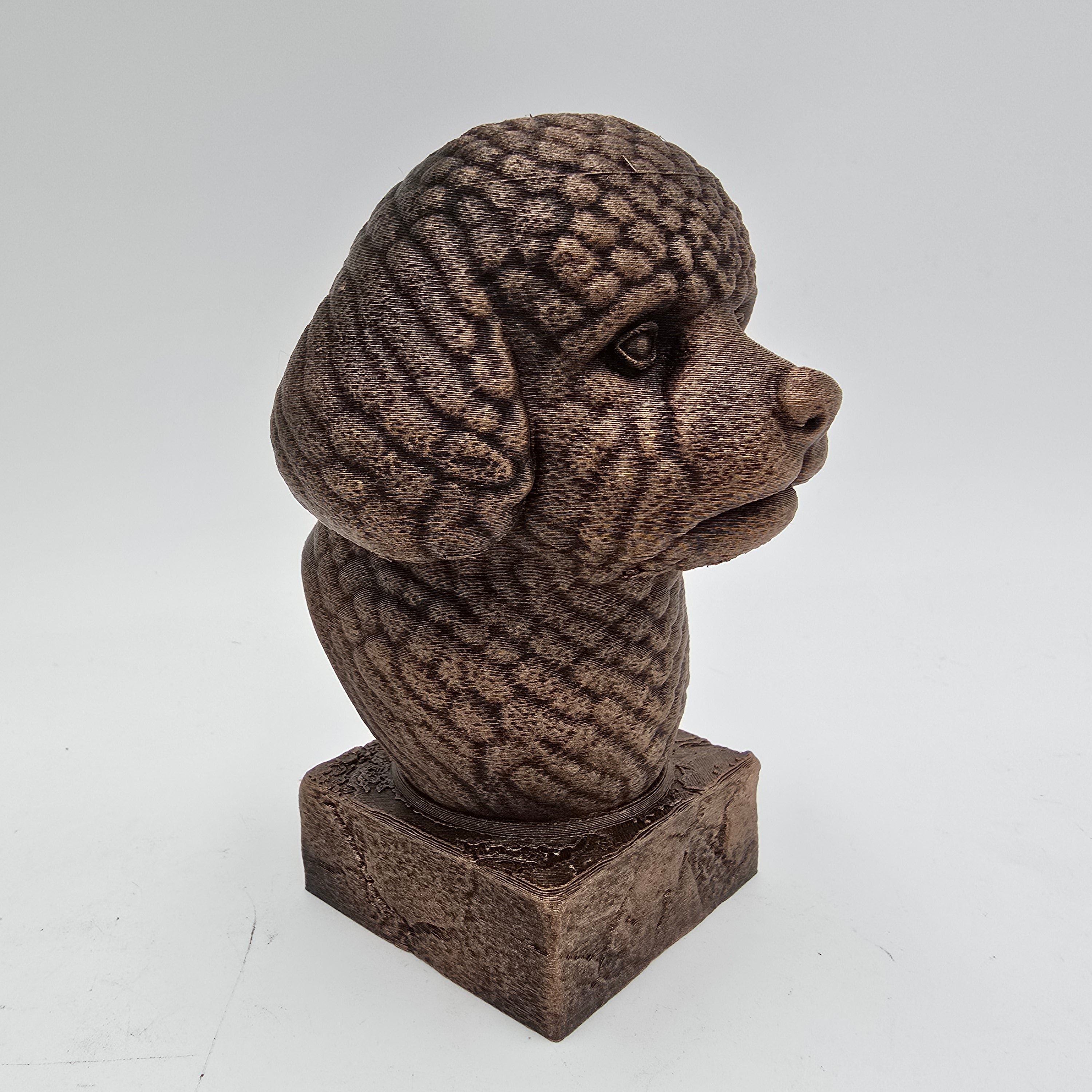 Bronze Bichon Frise dog bust sculpture viewed from the front right, featuring detailed curly fur on a decorative pedestal.
