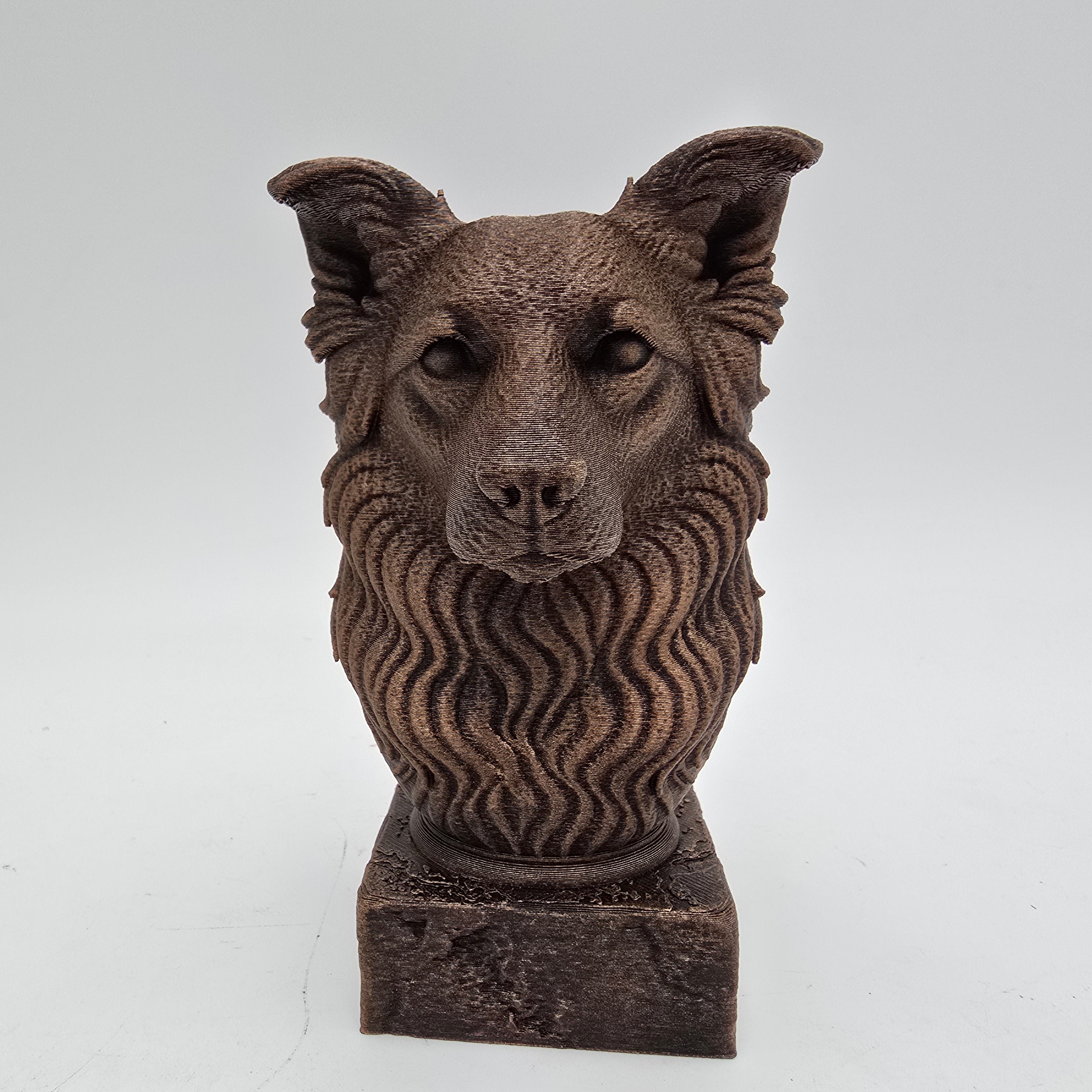 Front view of a bronze Border Collie dog bust sculpture with alert ears and detailed long fur on a decorative pedestal.