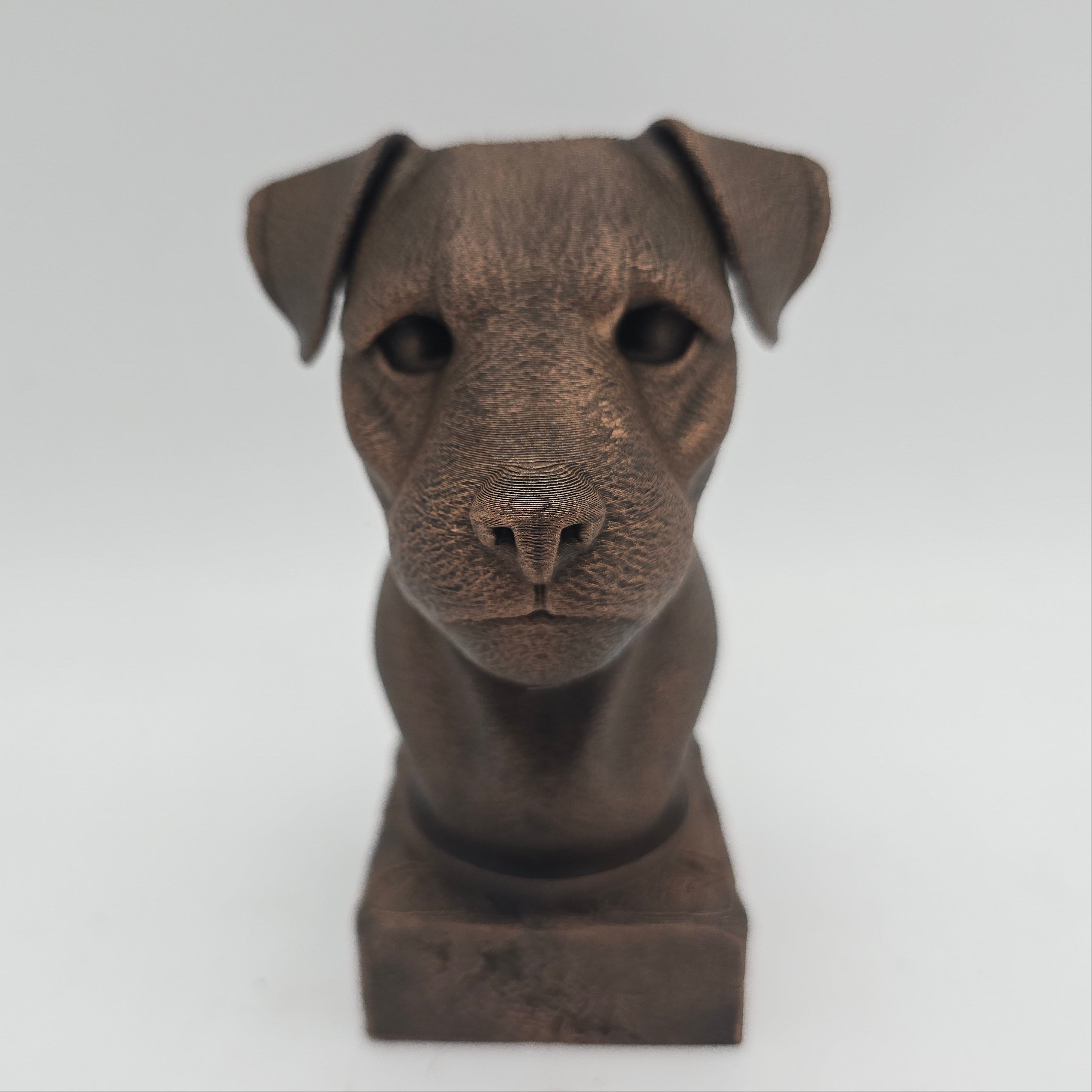 Front view of a bronze Border Terrier dog bust sculpture with folded ears on a decorative pedestal.