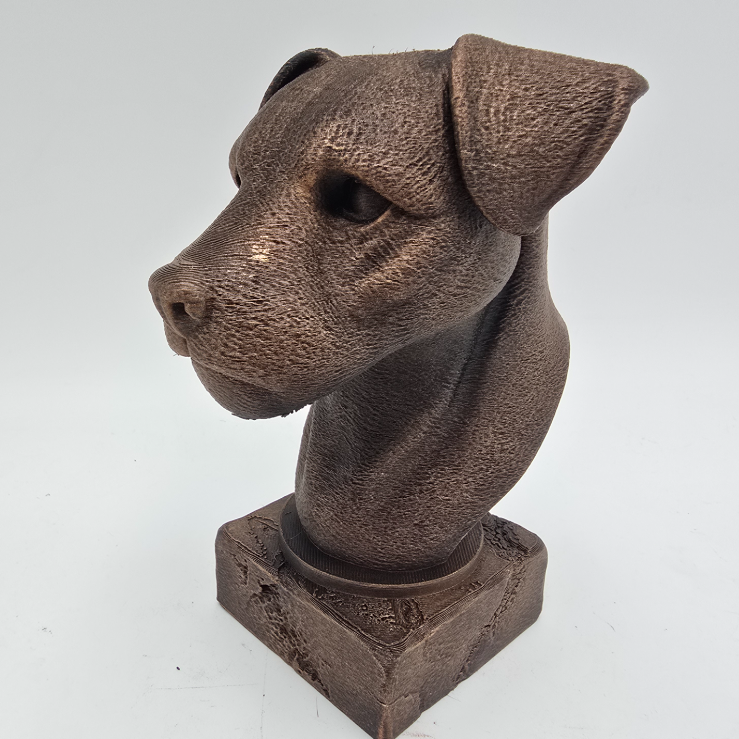 Bronze Border Terrier dog bust sculpture viewed from the front left, featuring folded ears and detailed fur on a decorative pedestal.