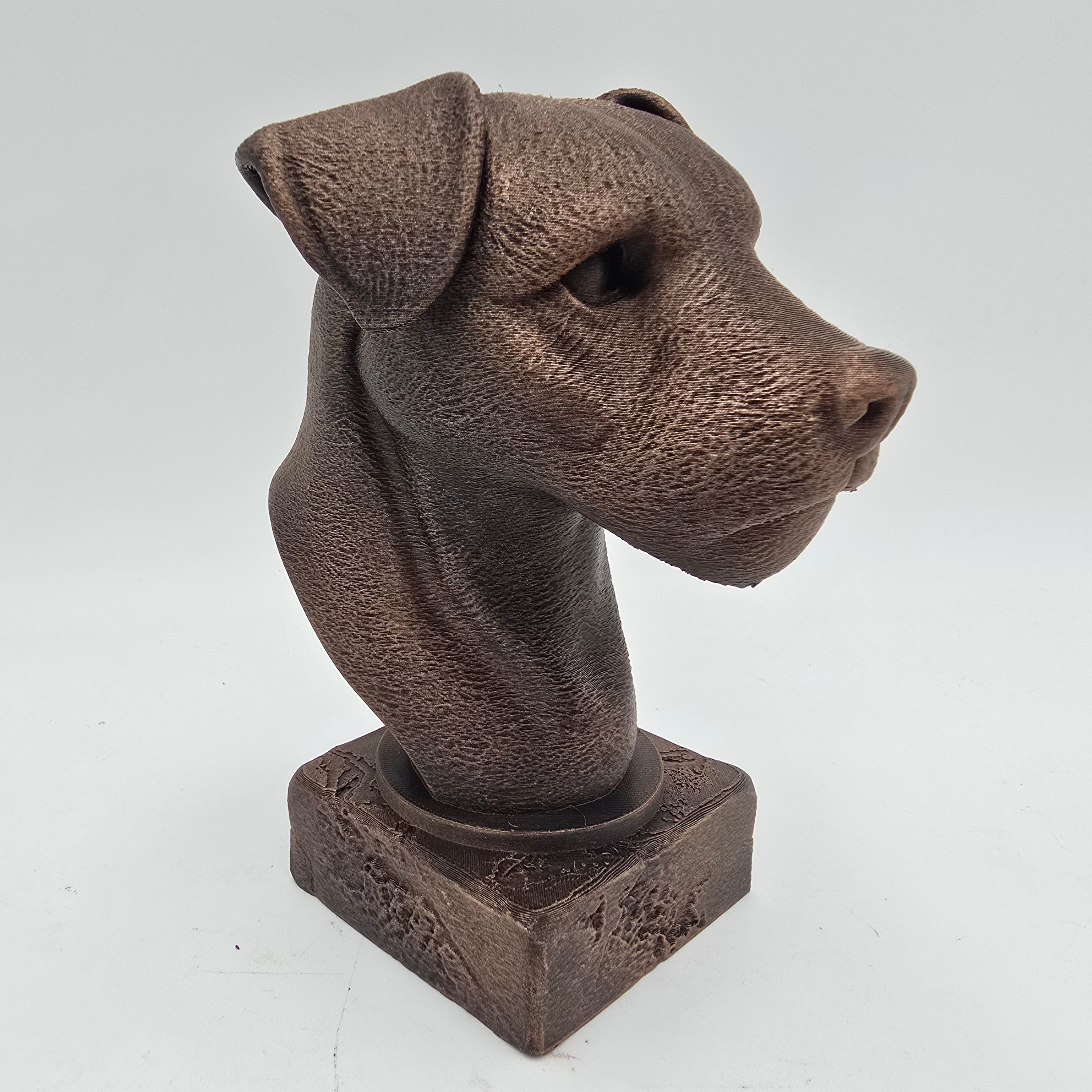 Bronze Border Terrier dog bust sculpture viewed from the front right, featuring folded ears and detailed fur on a decorative pedestal.
