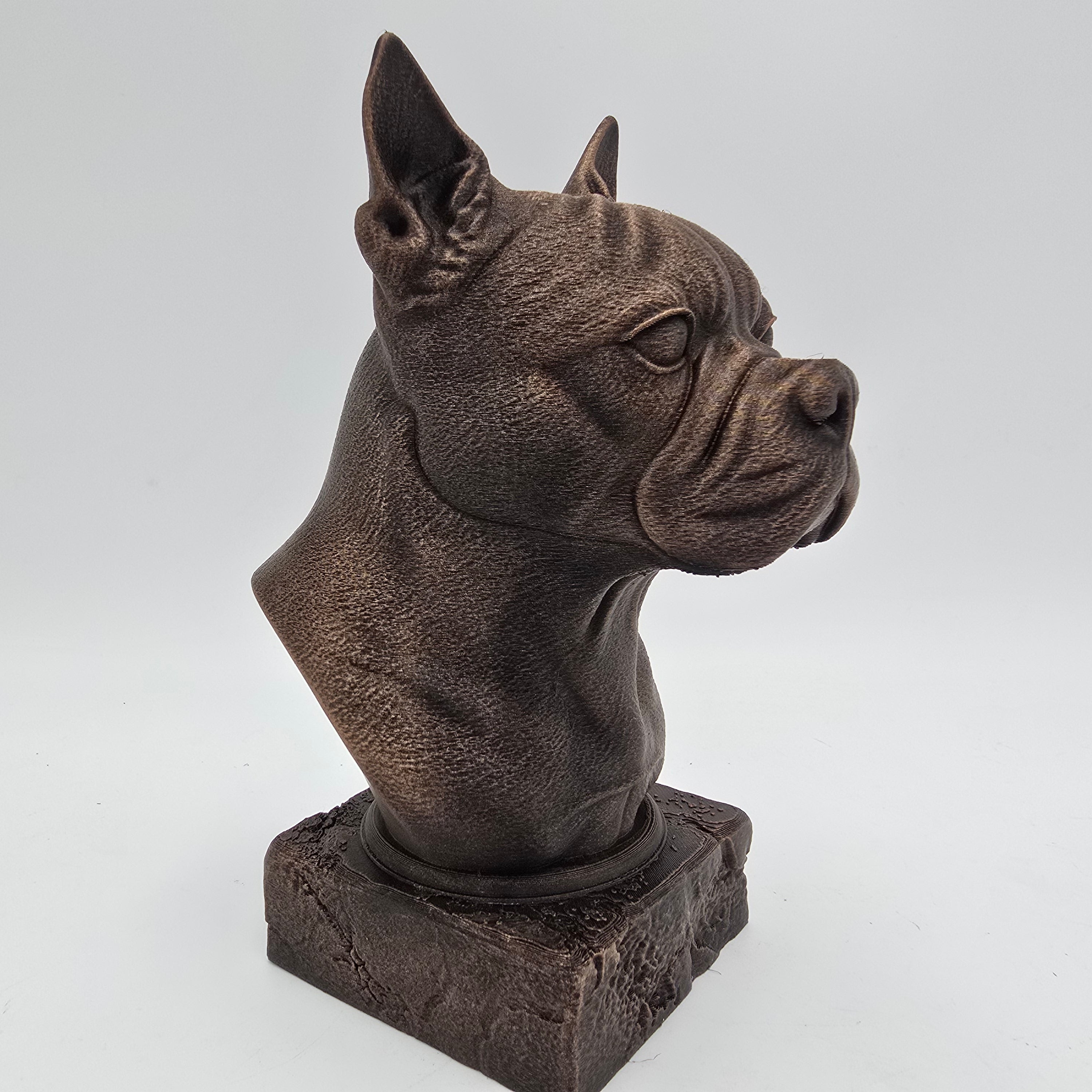 Bronze Boston Terrier dog bust sculpture viewed from the front right, featuring upright ears and a short muzzle on a decorative pedestal.