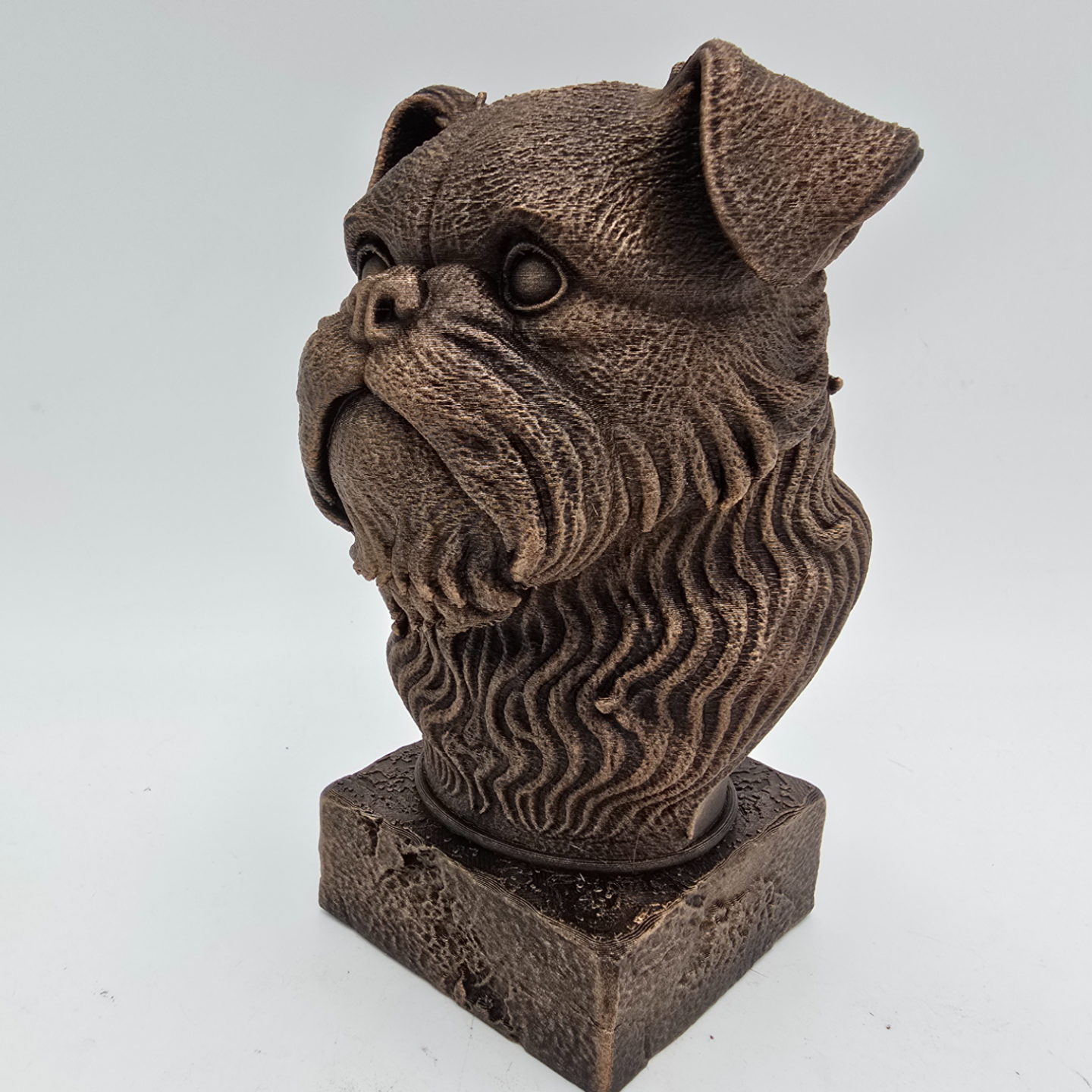 Bronze Brussels Griffon dog bust sculpture viewed from the front left, featuring large eyes, folded ears and a detailed beard on a decorative pedestal.