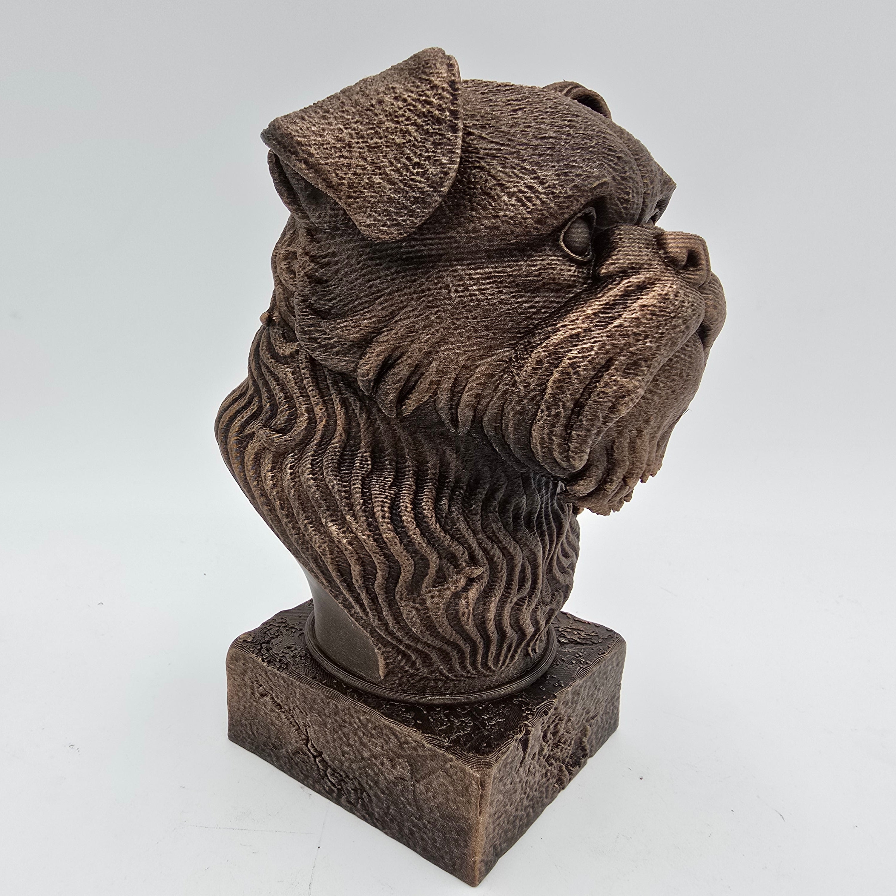 Bronze Brussels Griffon dog bust sculpture viewed from the front right, featuring large eyes, folded ears and a detailed beard on a decorative pedestal.