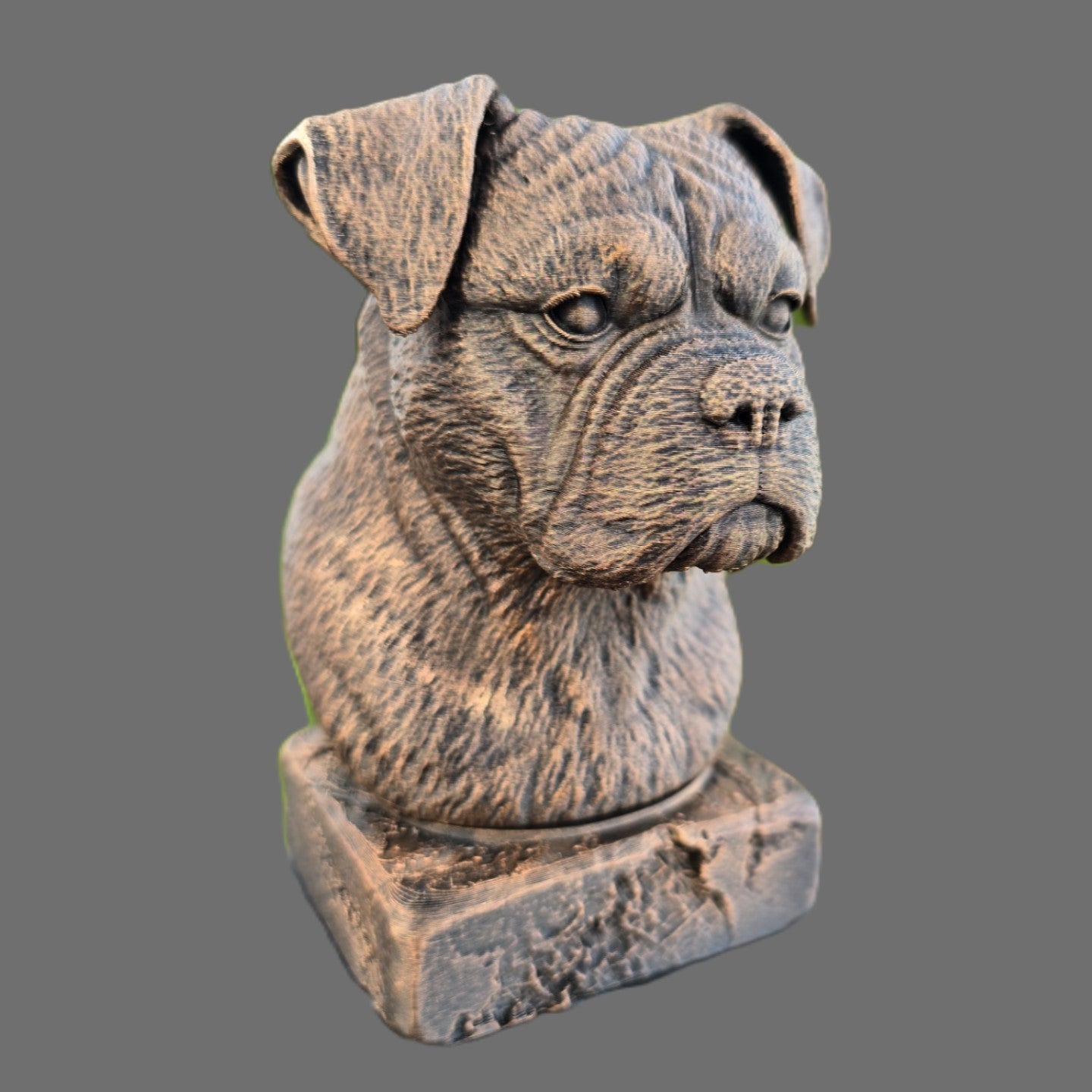 Bronze Bulloxer Bull dog bust sculpture viewed from the front right, featuring folded ears, a broad muzzle and muscular appearance on a pedestal.