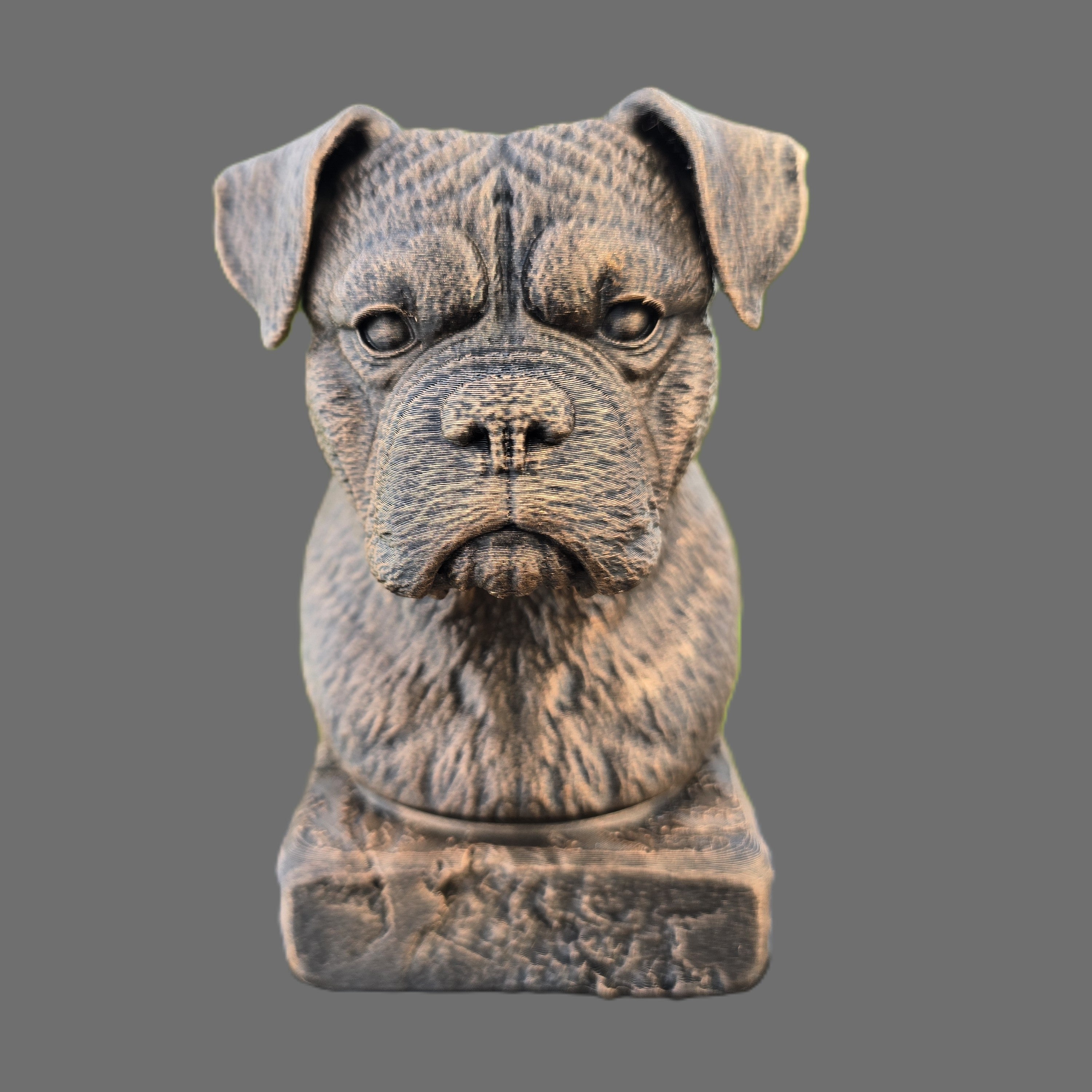 Front view of a bronze Bulloxer Bull dog bust sculpture with folded ears, a broad muzzle and detailed facial features on a pedestal.