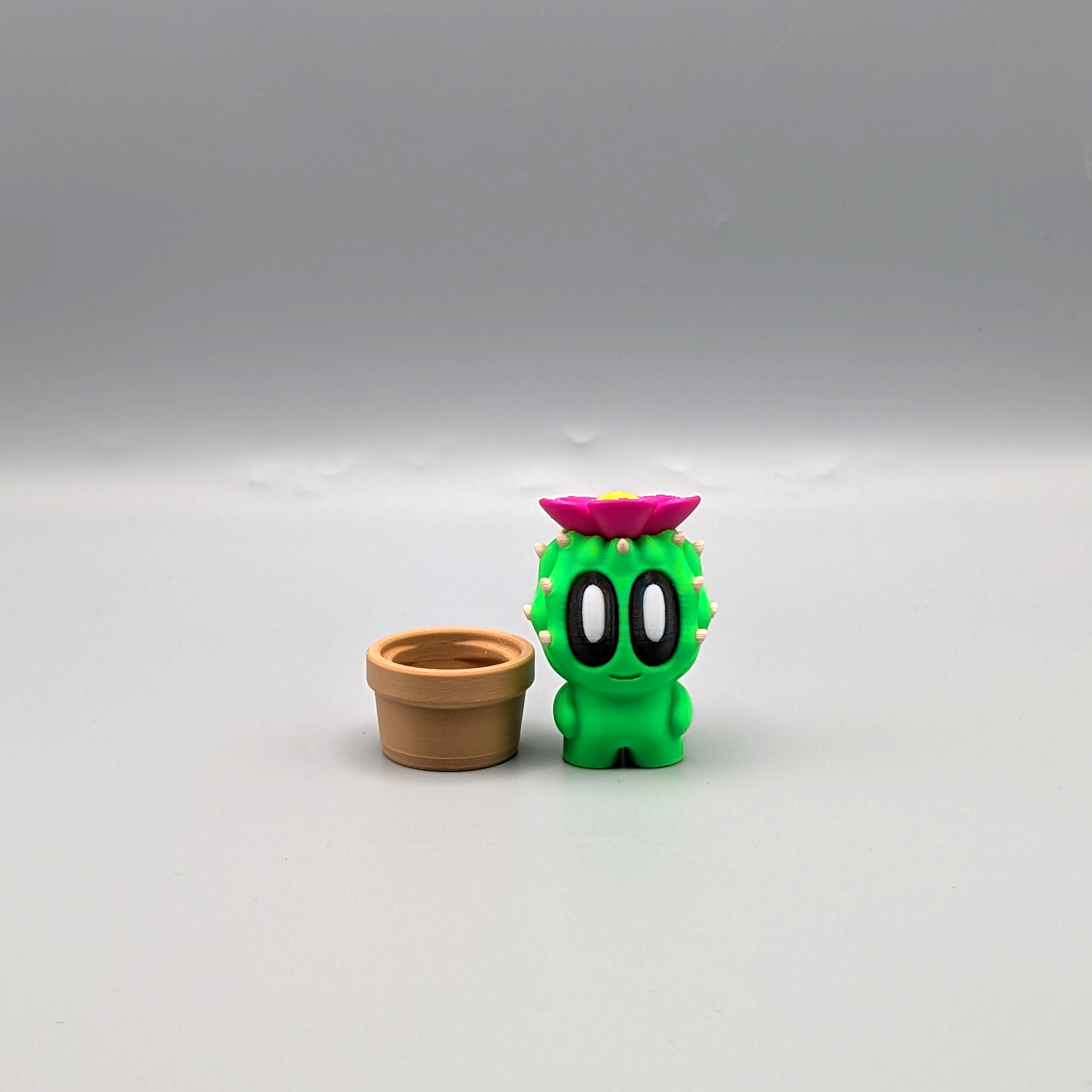 Desk Buddy barrel cactus on desk workspace