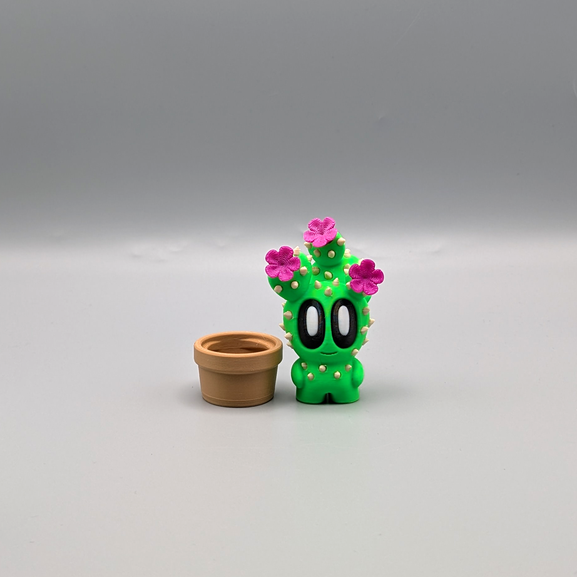Desk Buddy blooming prickly pear on desk workspace