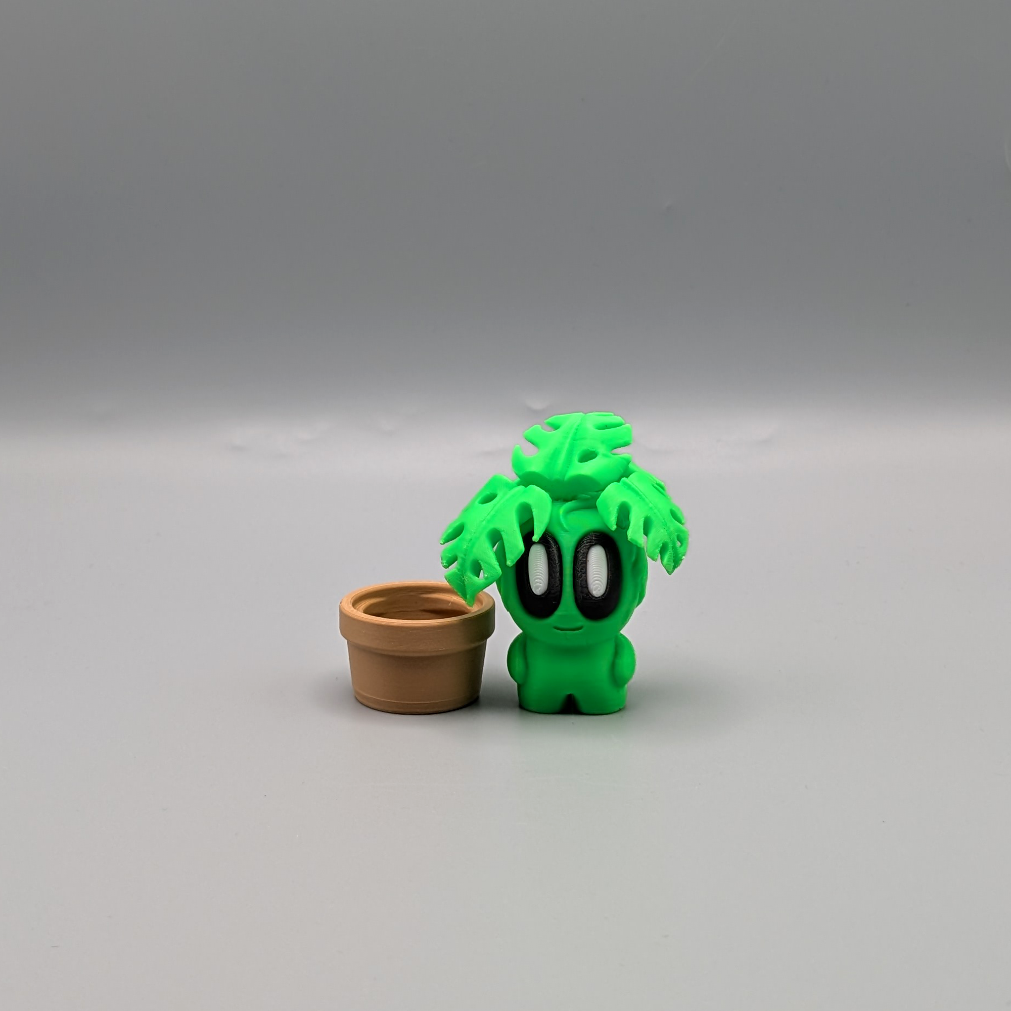 Desk Buddy monstera plant on desk workspace