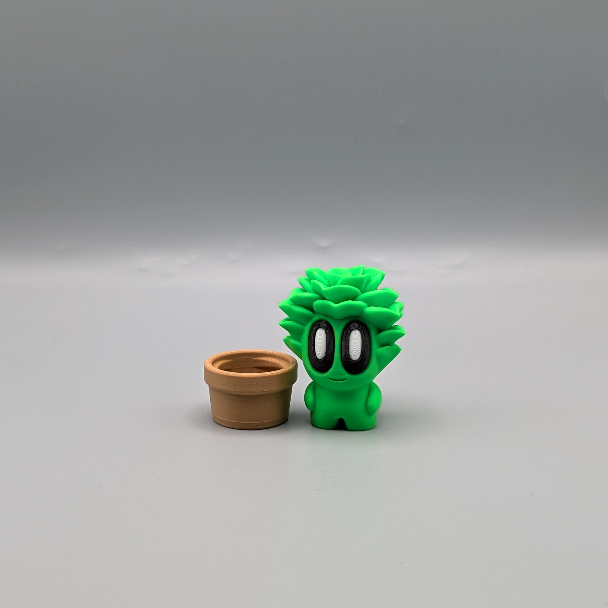 Desk Buddy succulent plant on desk workspace