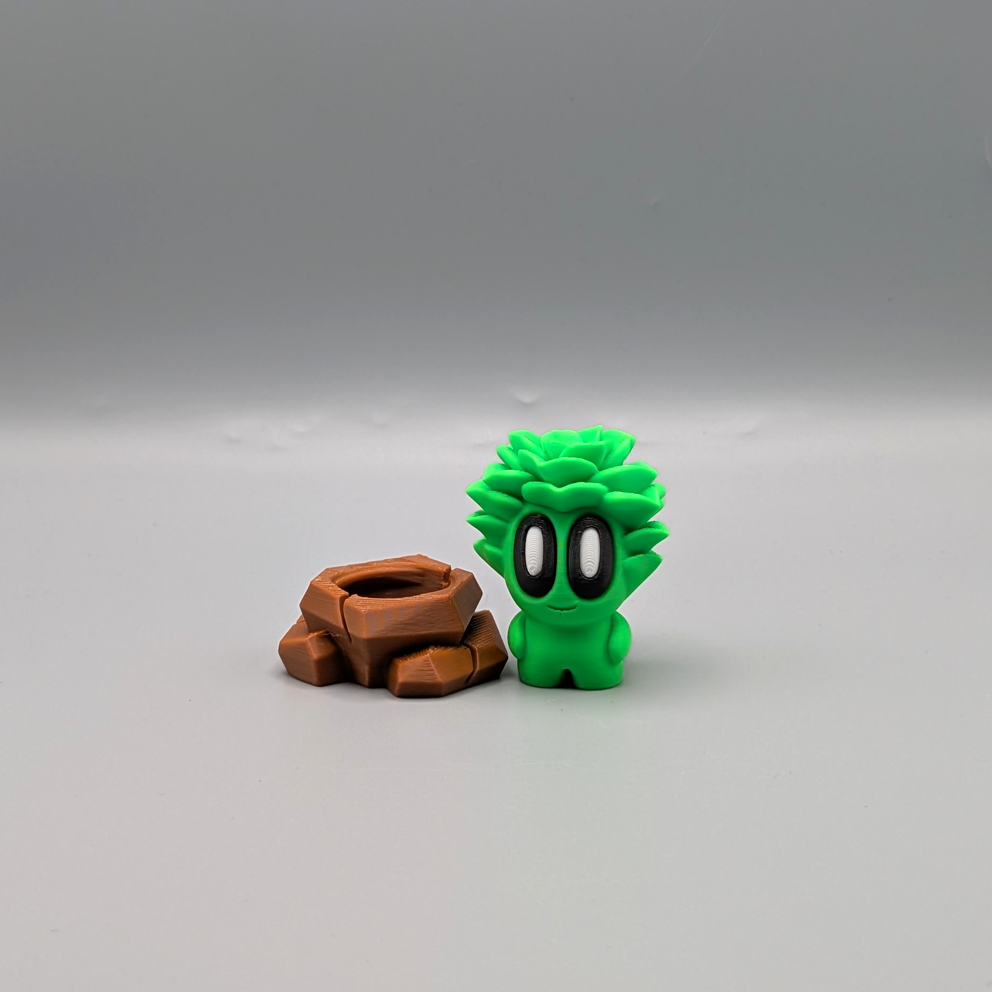 Desk Buddy succulent plant cute desk decor